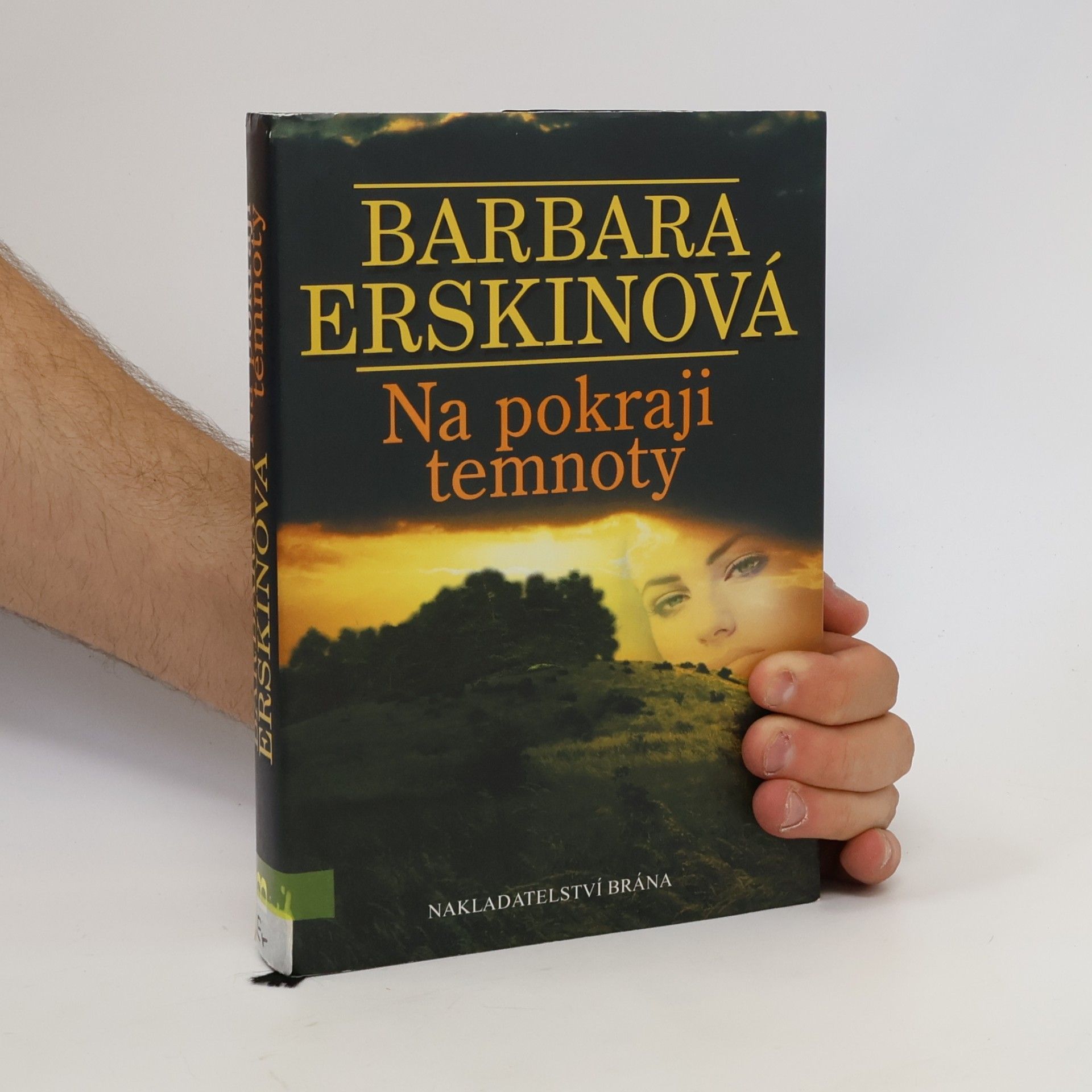 Barbara Erskine Na pokraji temnoty