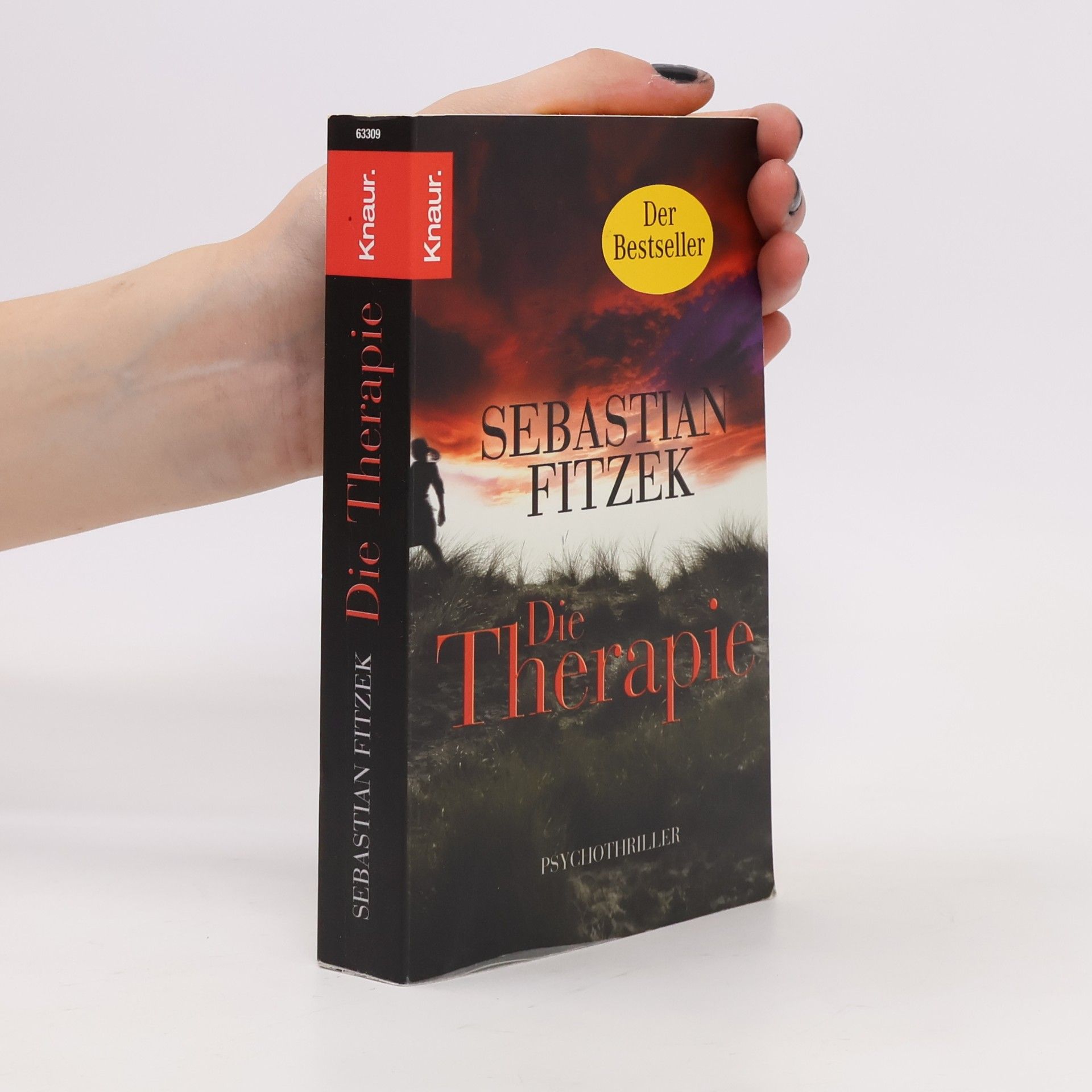 Sebastian Fitzek Die Therapie