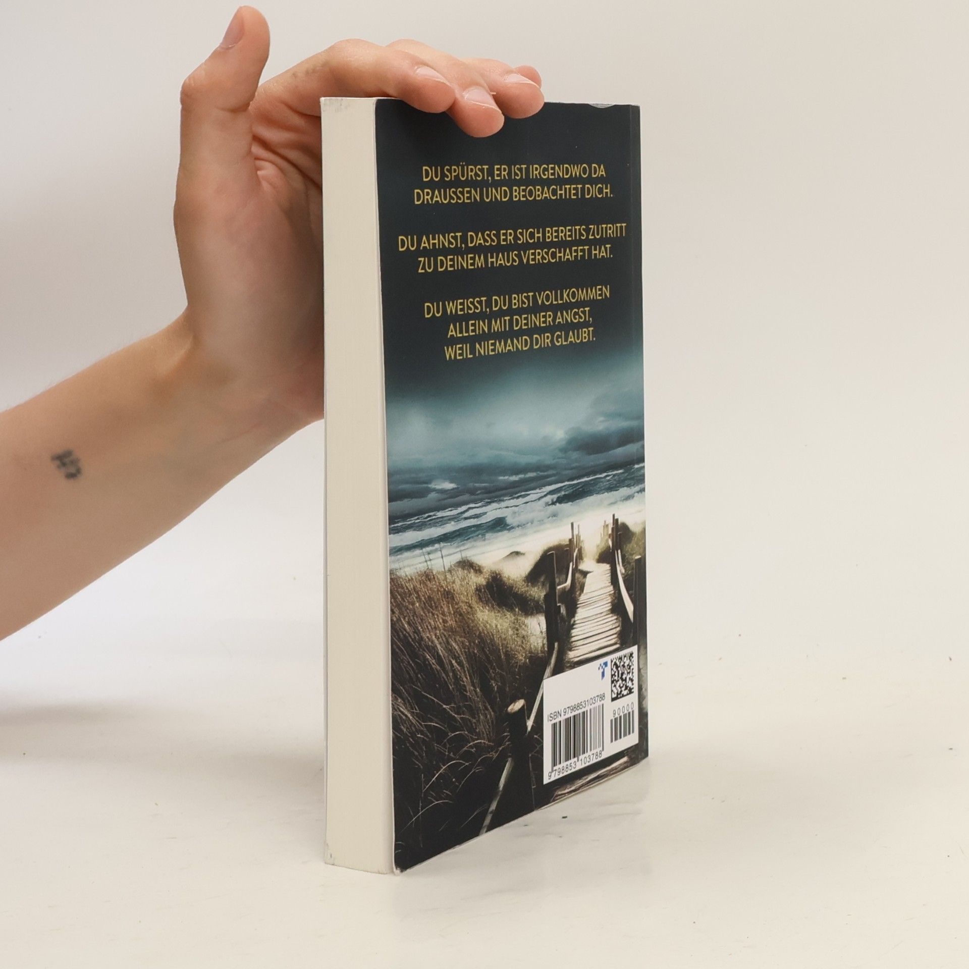Daniela Arnold Das Verborgene: Sylt-Thriller