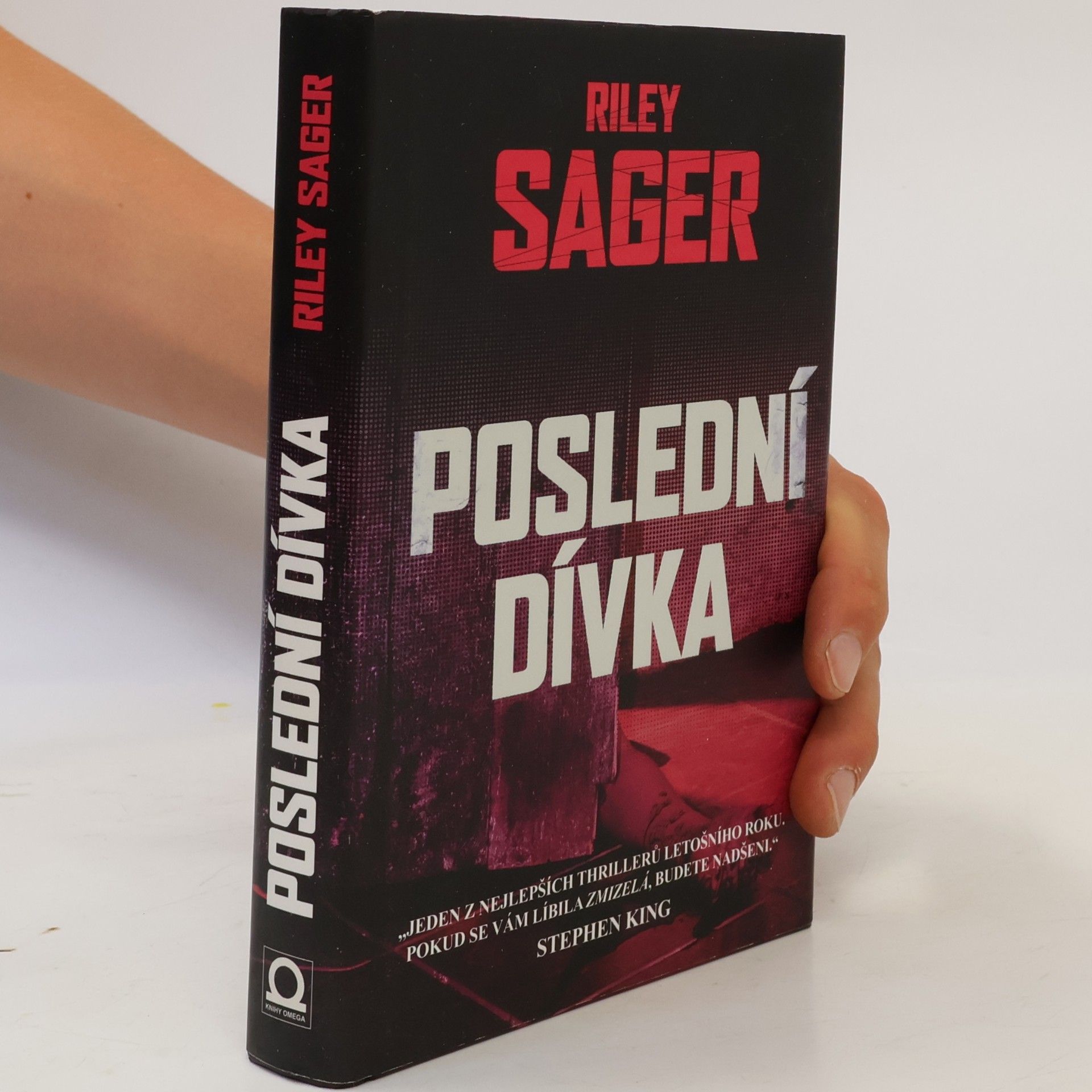 Todd Ritter Poslední dívka