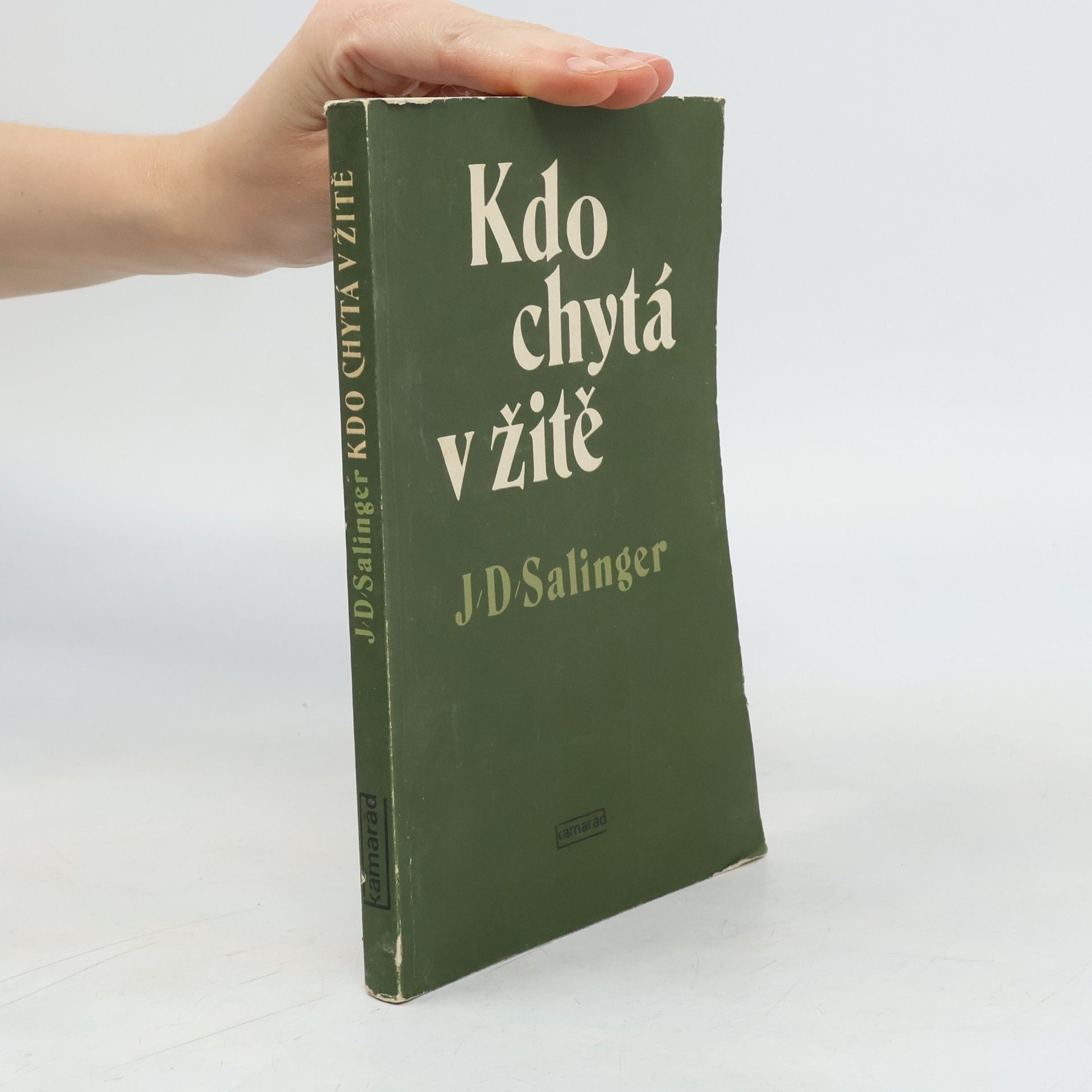 J. D. Salinger Kdo chytá v žitě