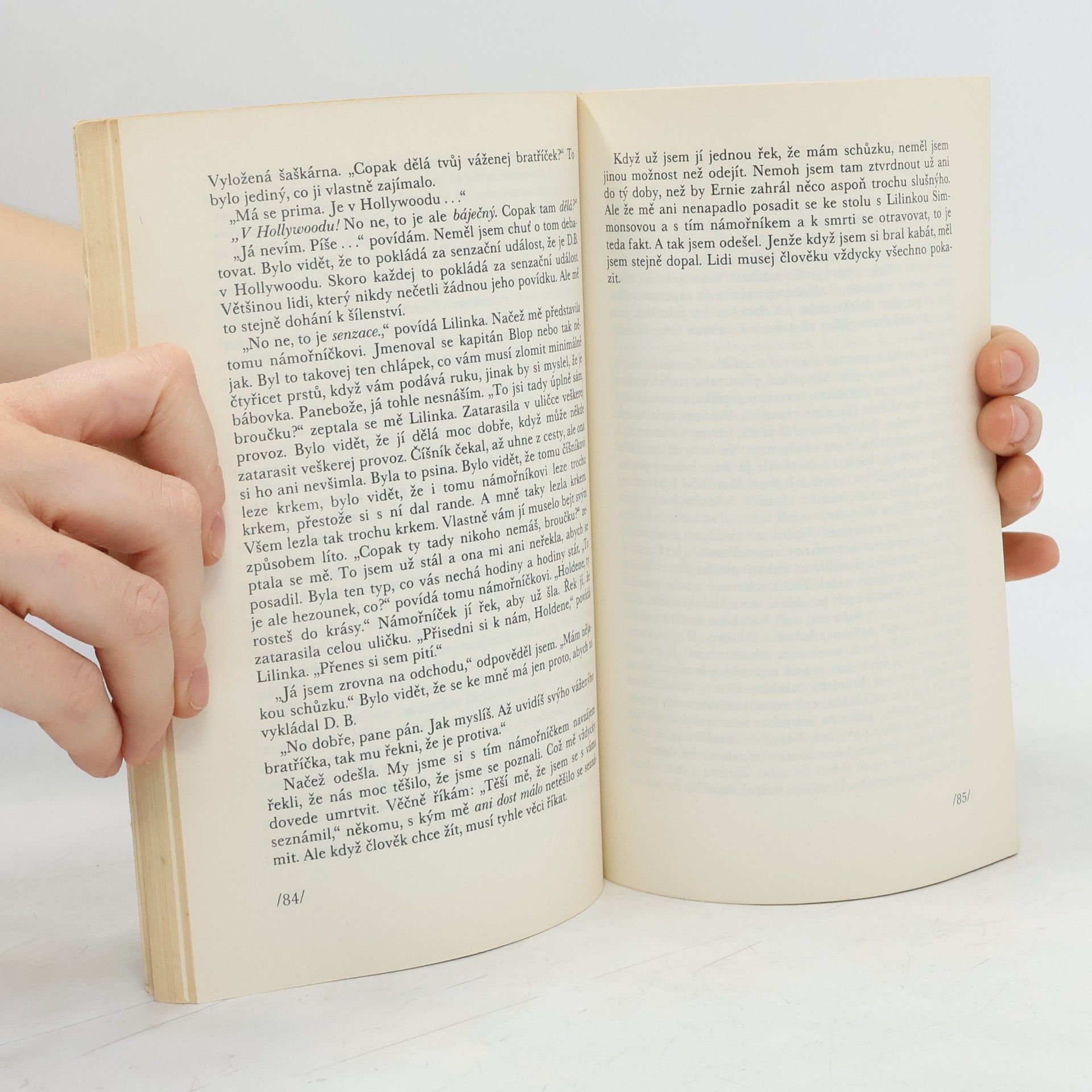 J. D. Salinger Kdo chytá v žitě