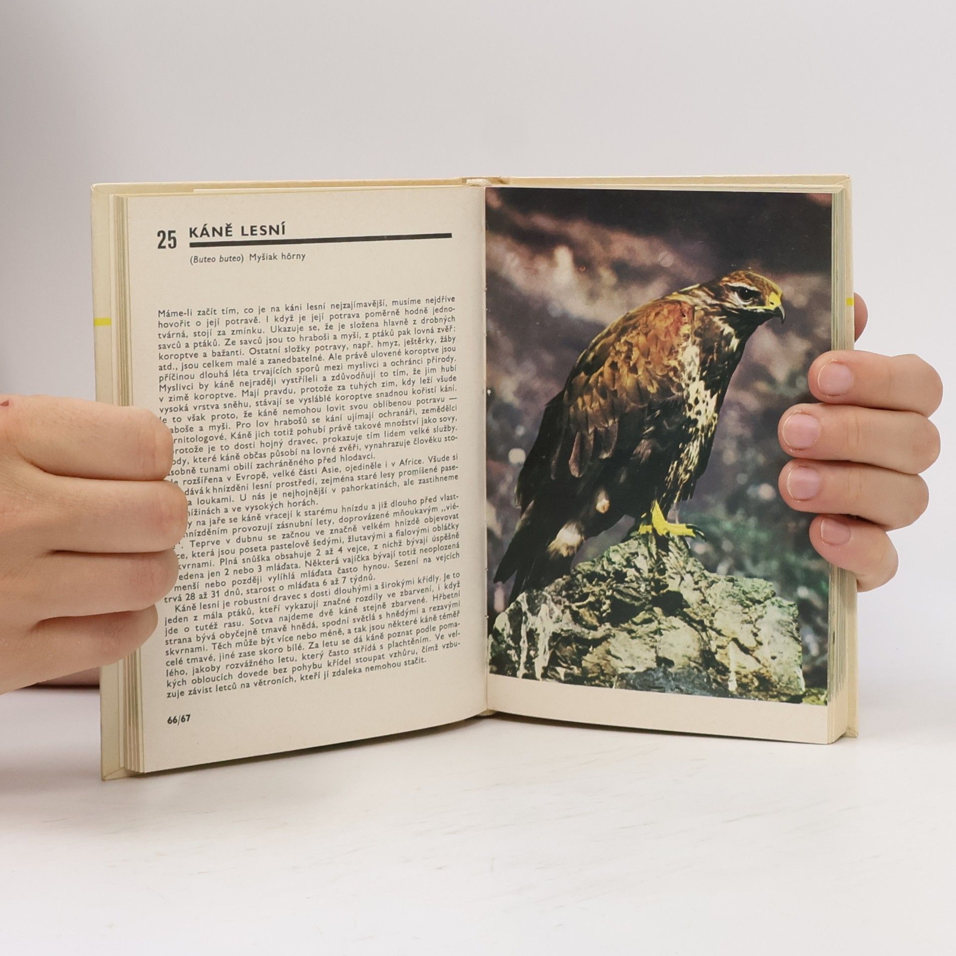 Miroslav Bouchner Kapesní atlas ptáků