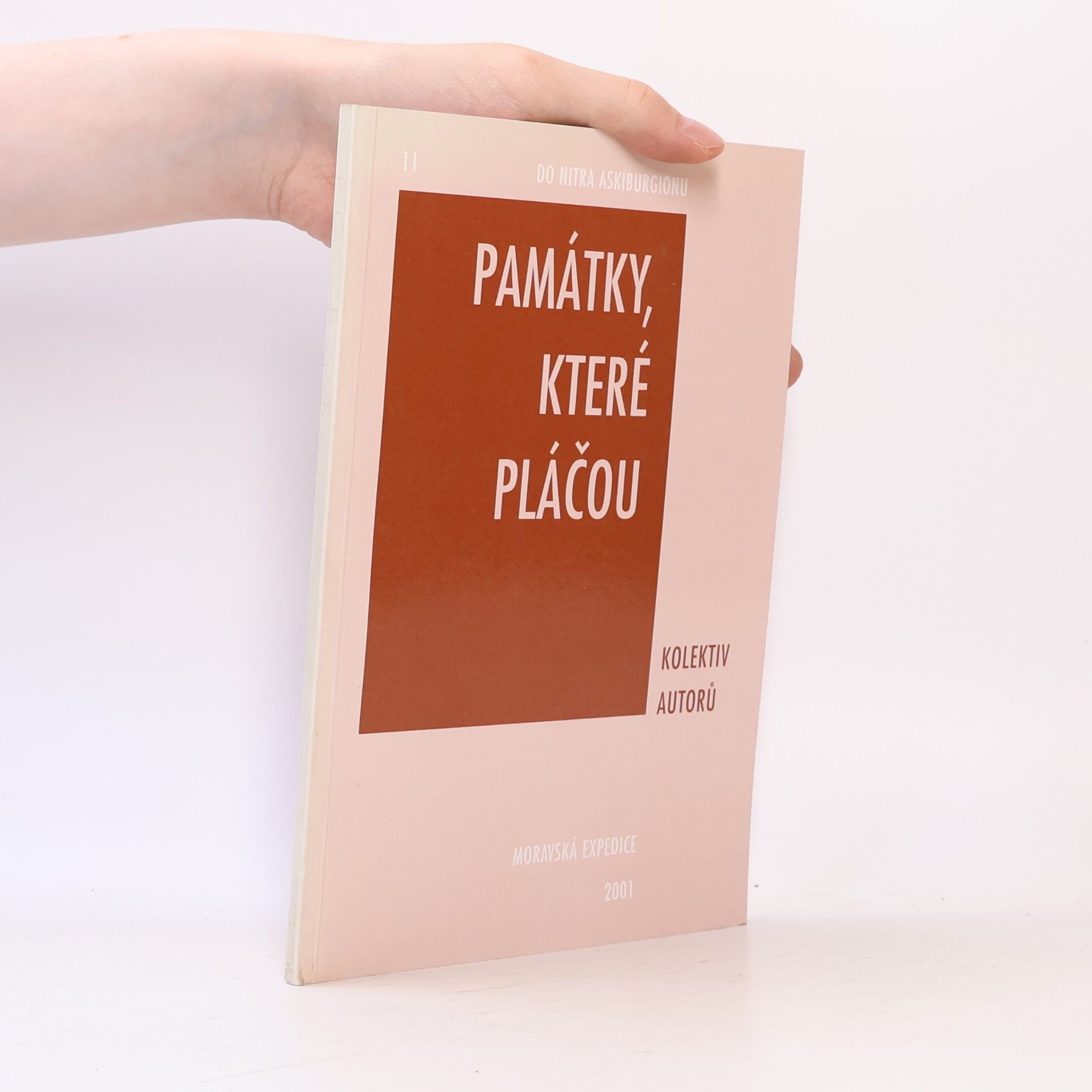 Kolektiv autorů Památky které pláčou