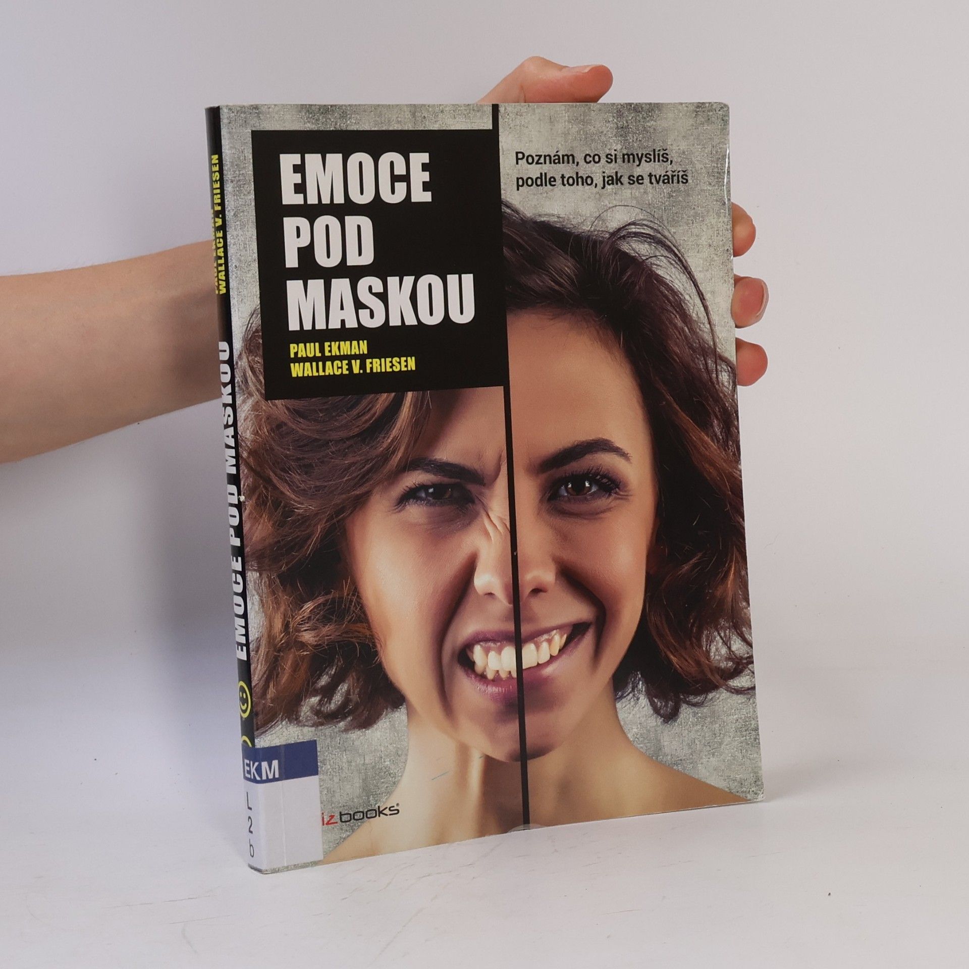 Emoce pod maskou