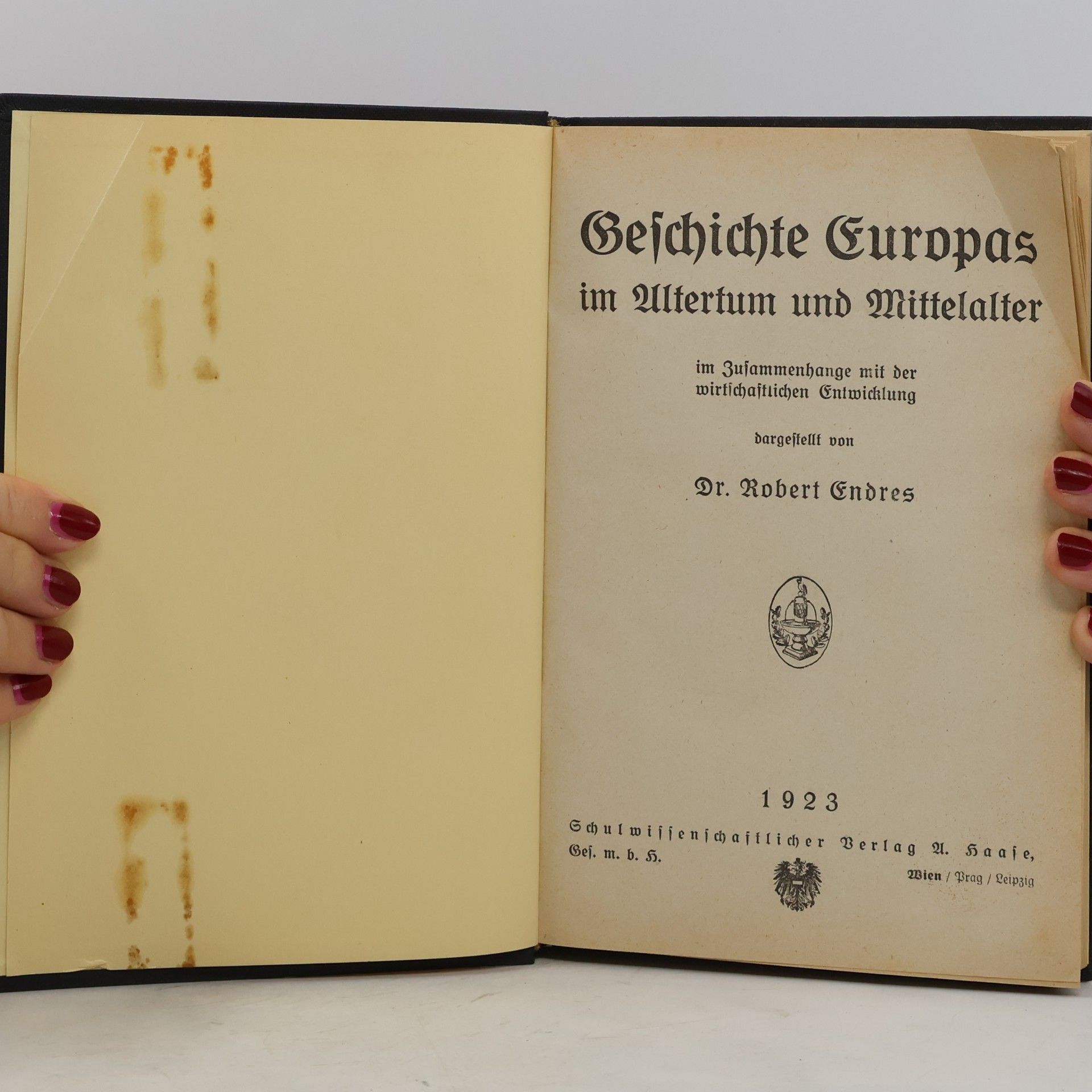 Robert Endres Geschichte Europas im Altertum und Mittelalter im Zusammenhange mit der wirtschaftlichen Entwicklung