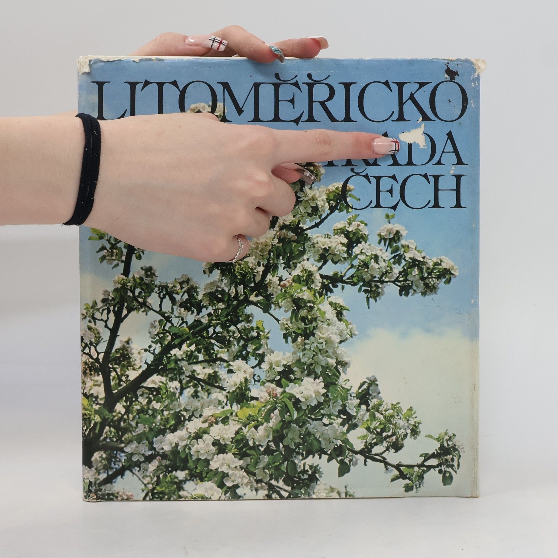 Kolektív autorov Litoměřicko, zahrada Čech