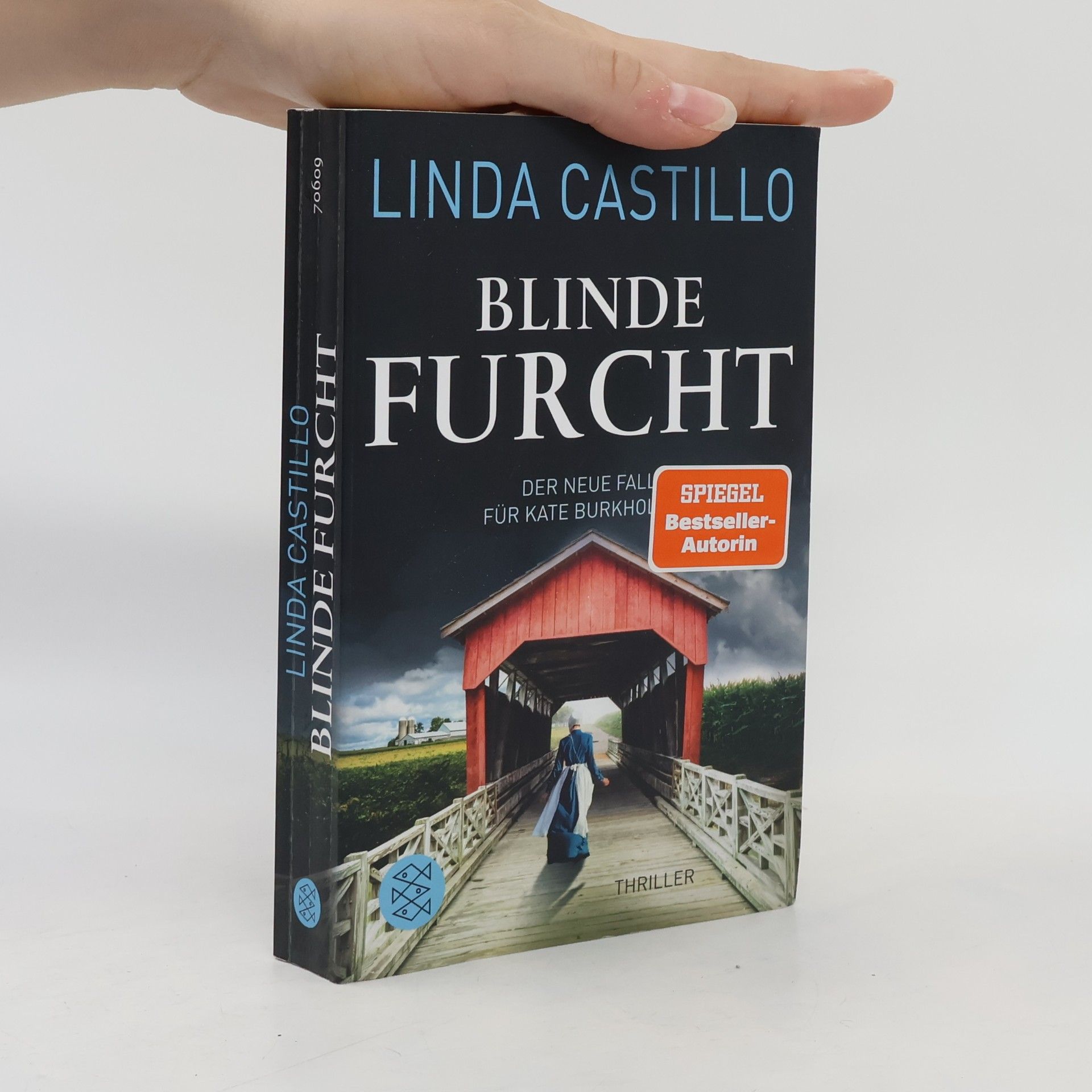 Linda Castillo Blinde Furcht