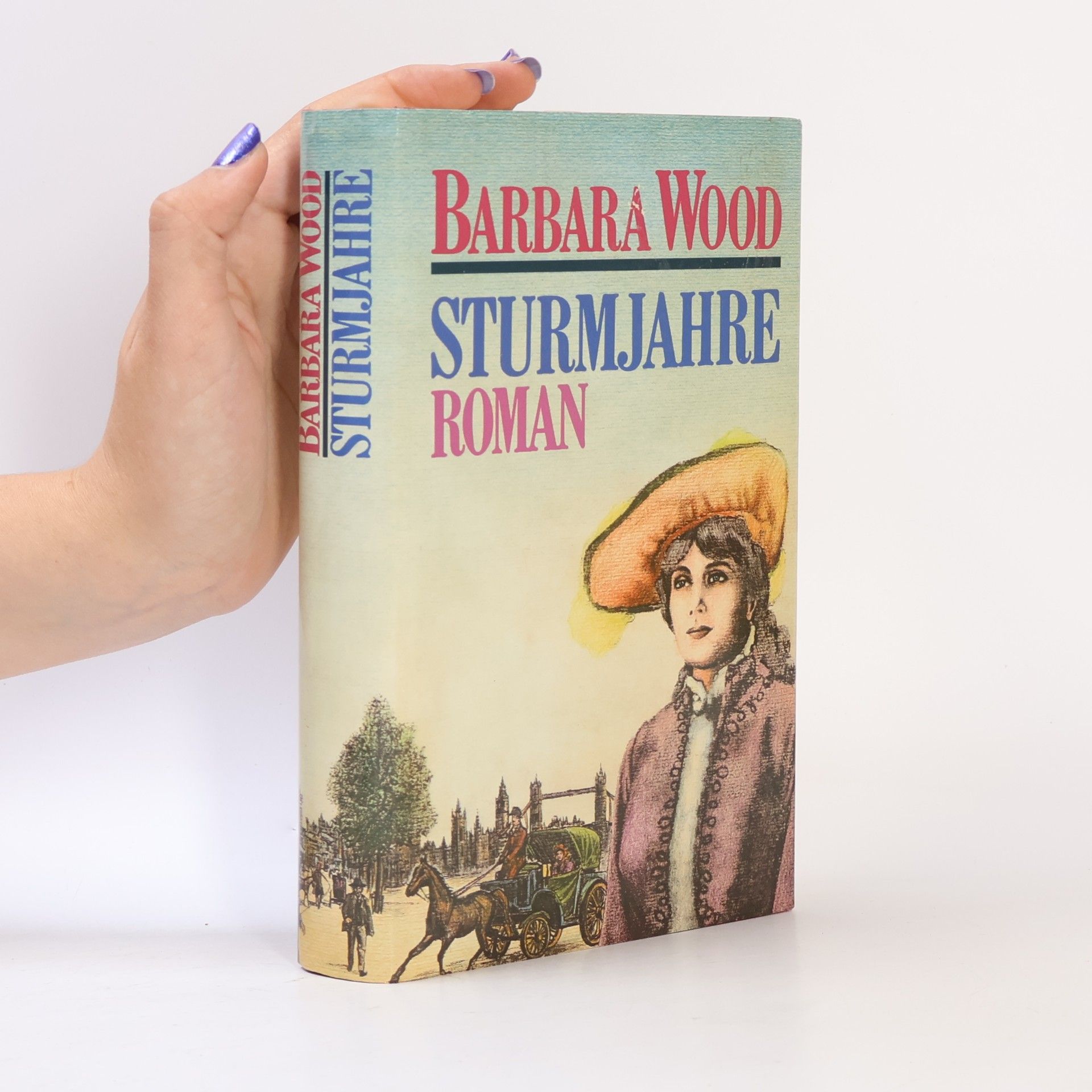 Barbara Wood Sturmjahre