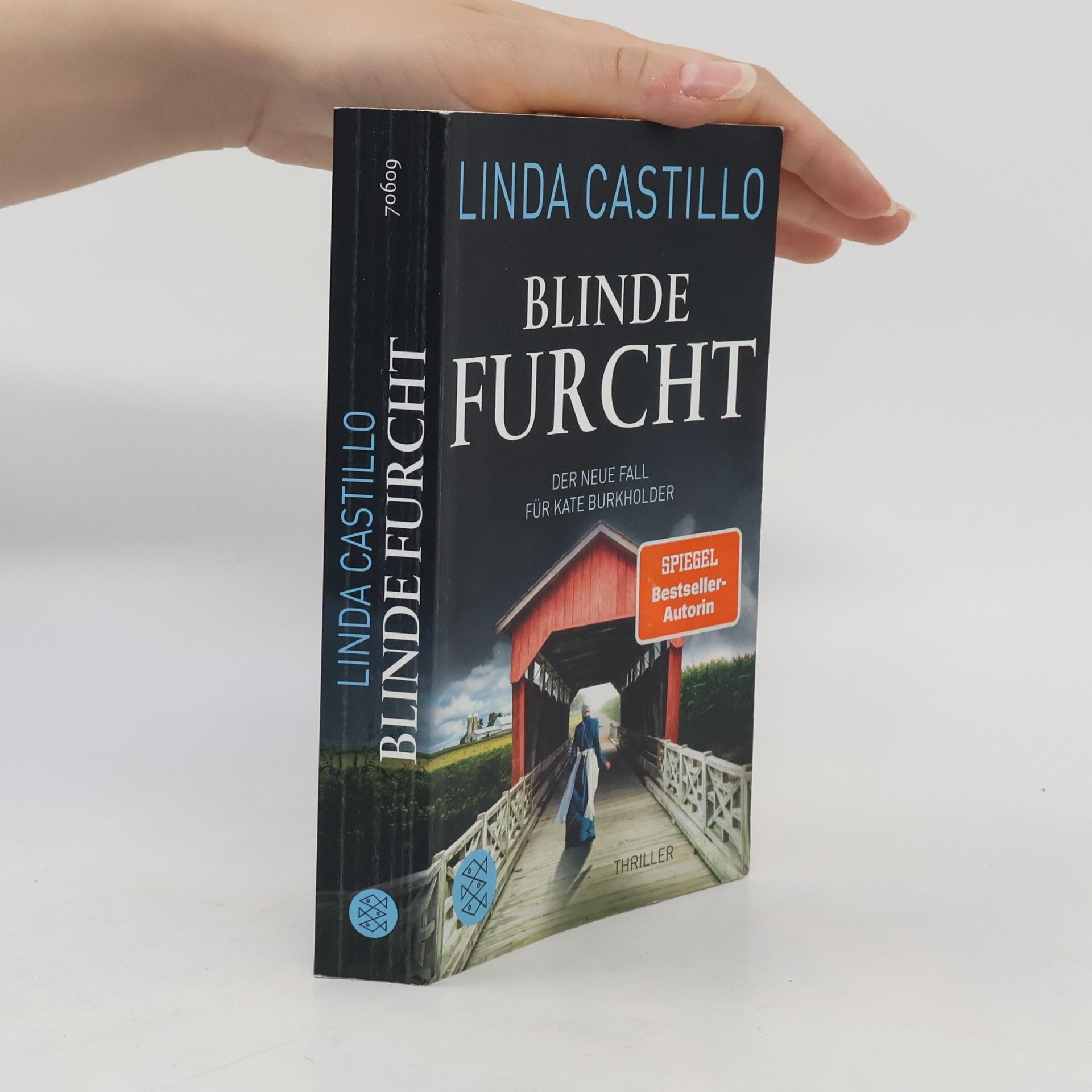 Linda Castillo Blinde Furcht