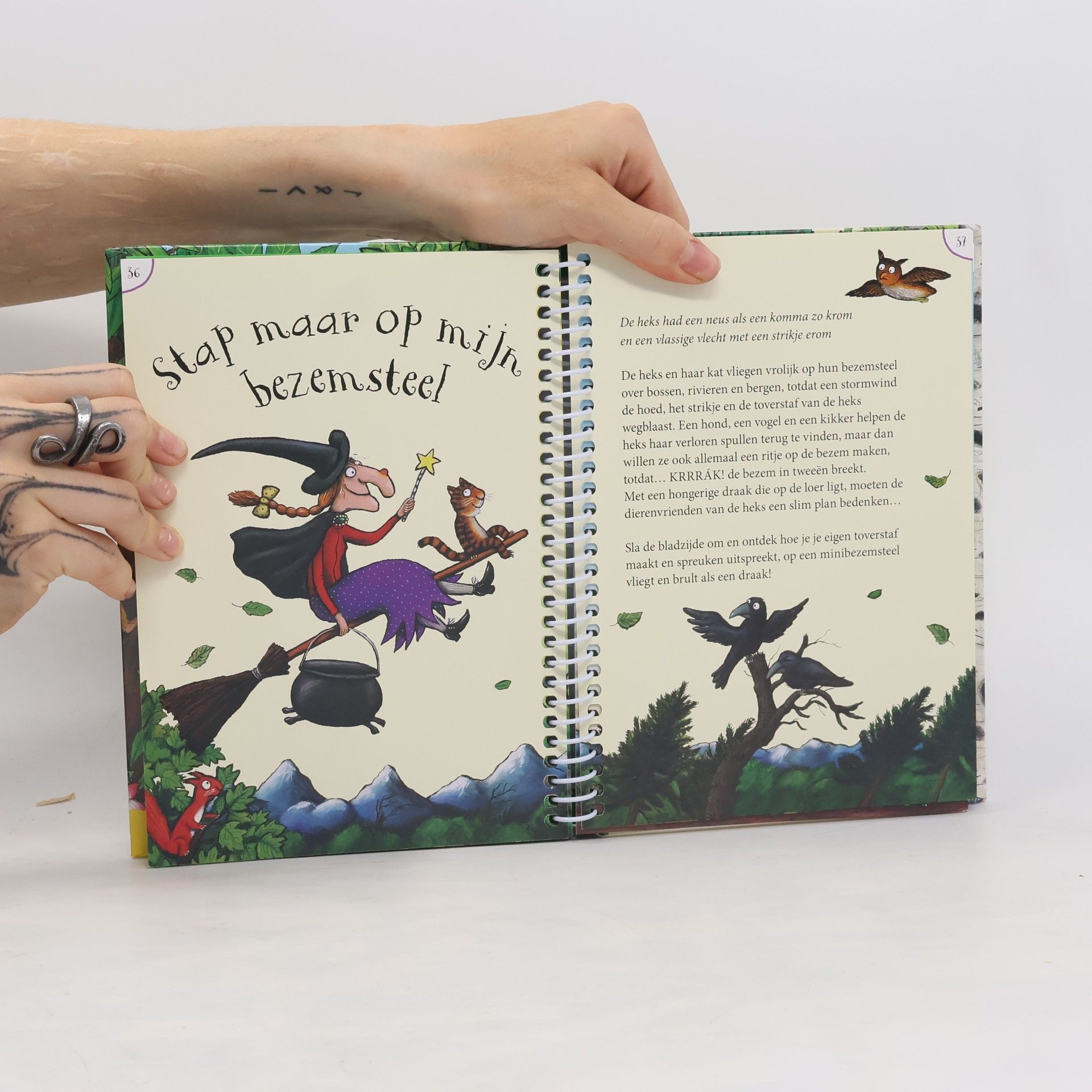 Julia Donaldson Gruffalo en zijn vrienden buitendoeboek