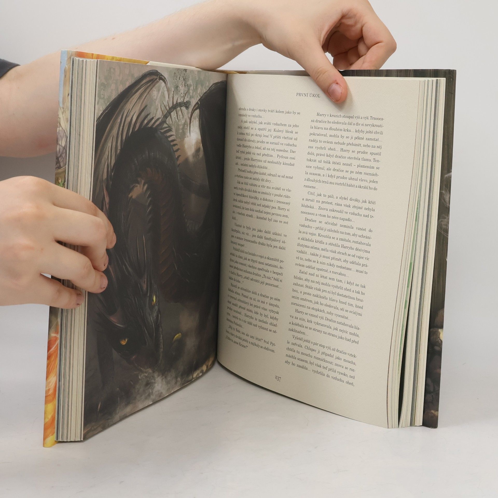 J. K. Rowling Harry Potter a ohnivý pohár