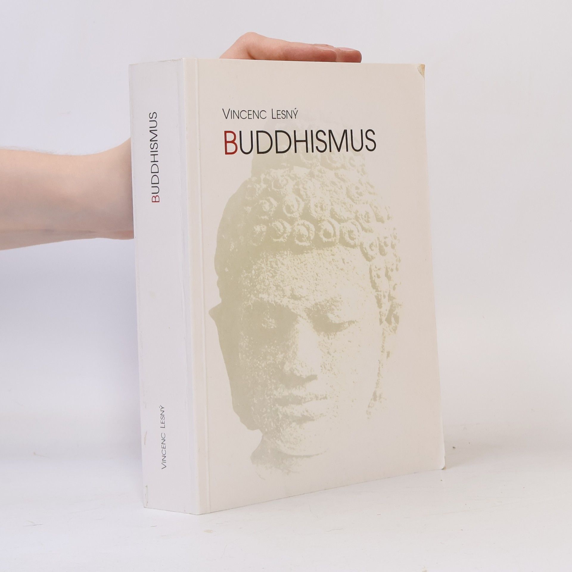 Vincenc Lesný Buddhismus