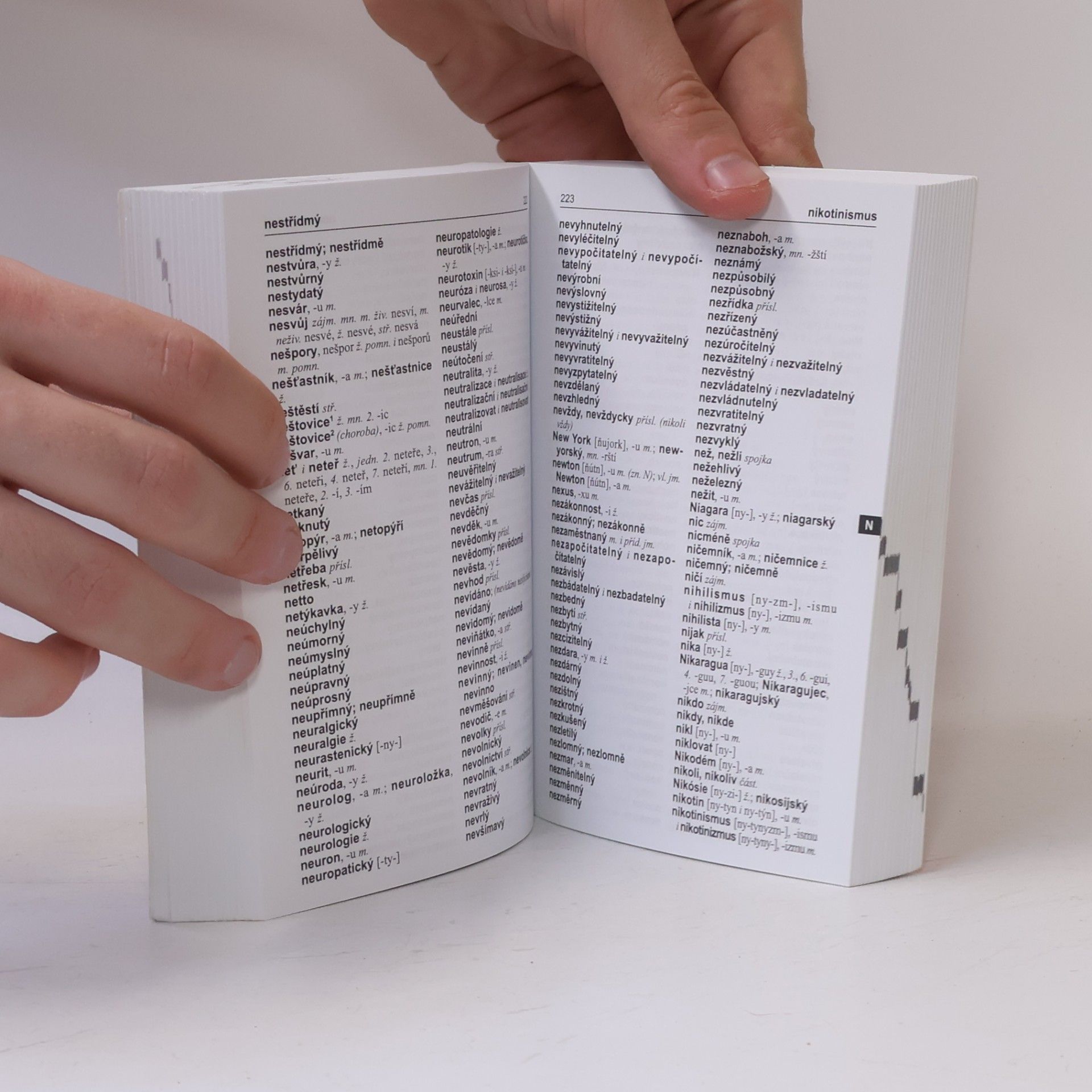 Autorenkollektiv Pravidla českého pravopisu