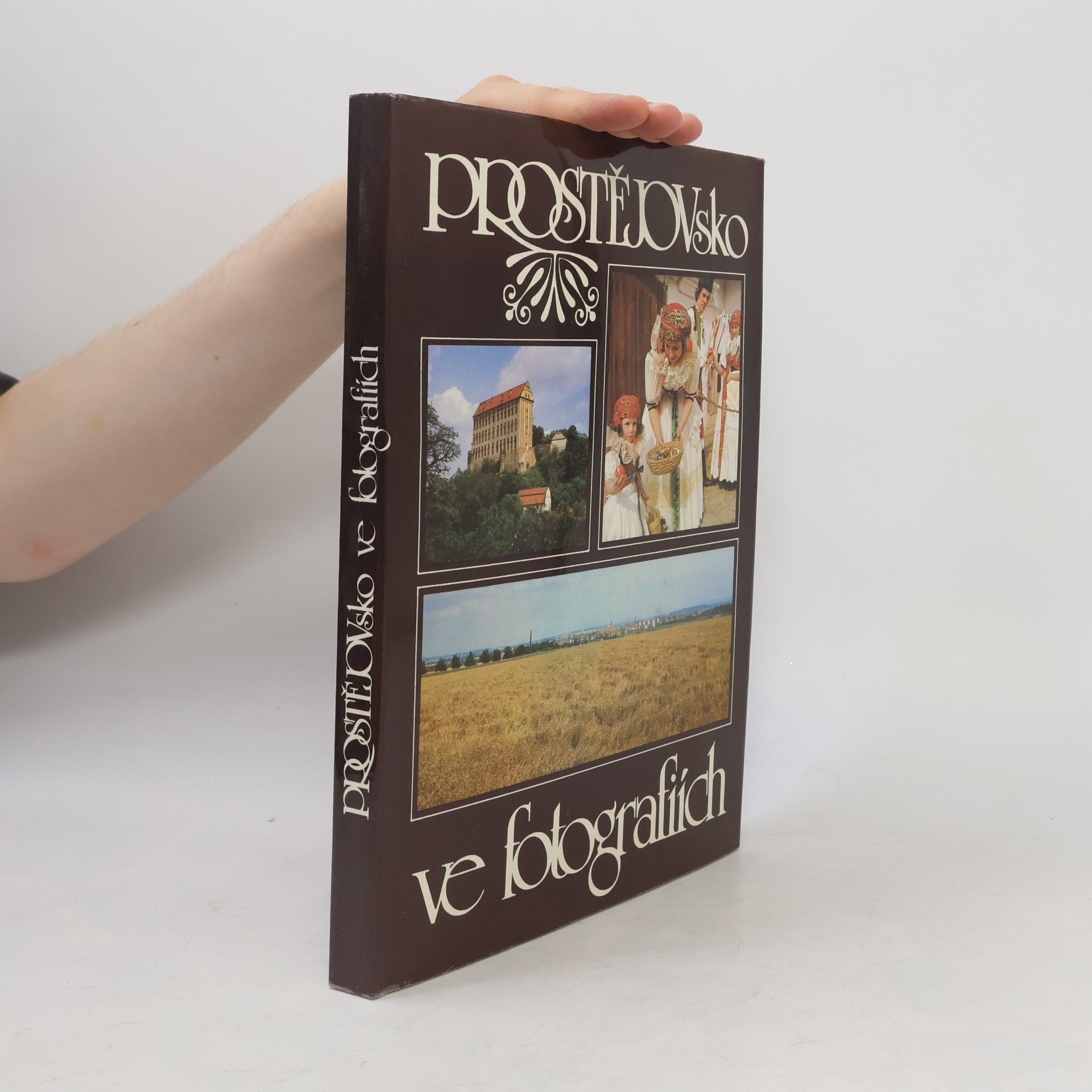 Bohumil Přikryl Prostějovsko ve fotografiích