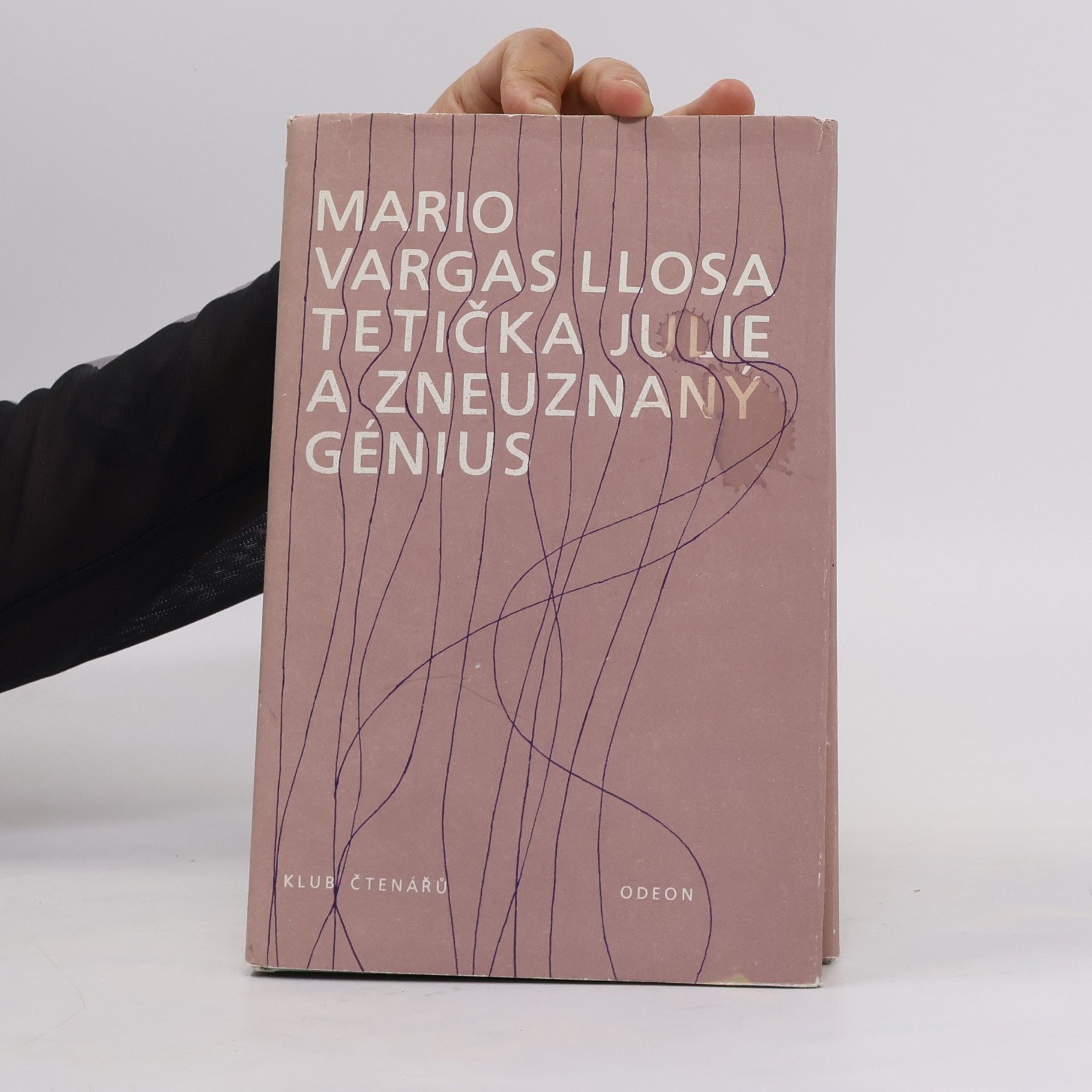 Mario Vargas Llosa Tetička Julie a zneuznaný génius