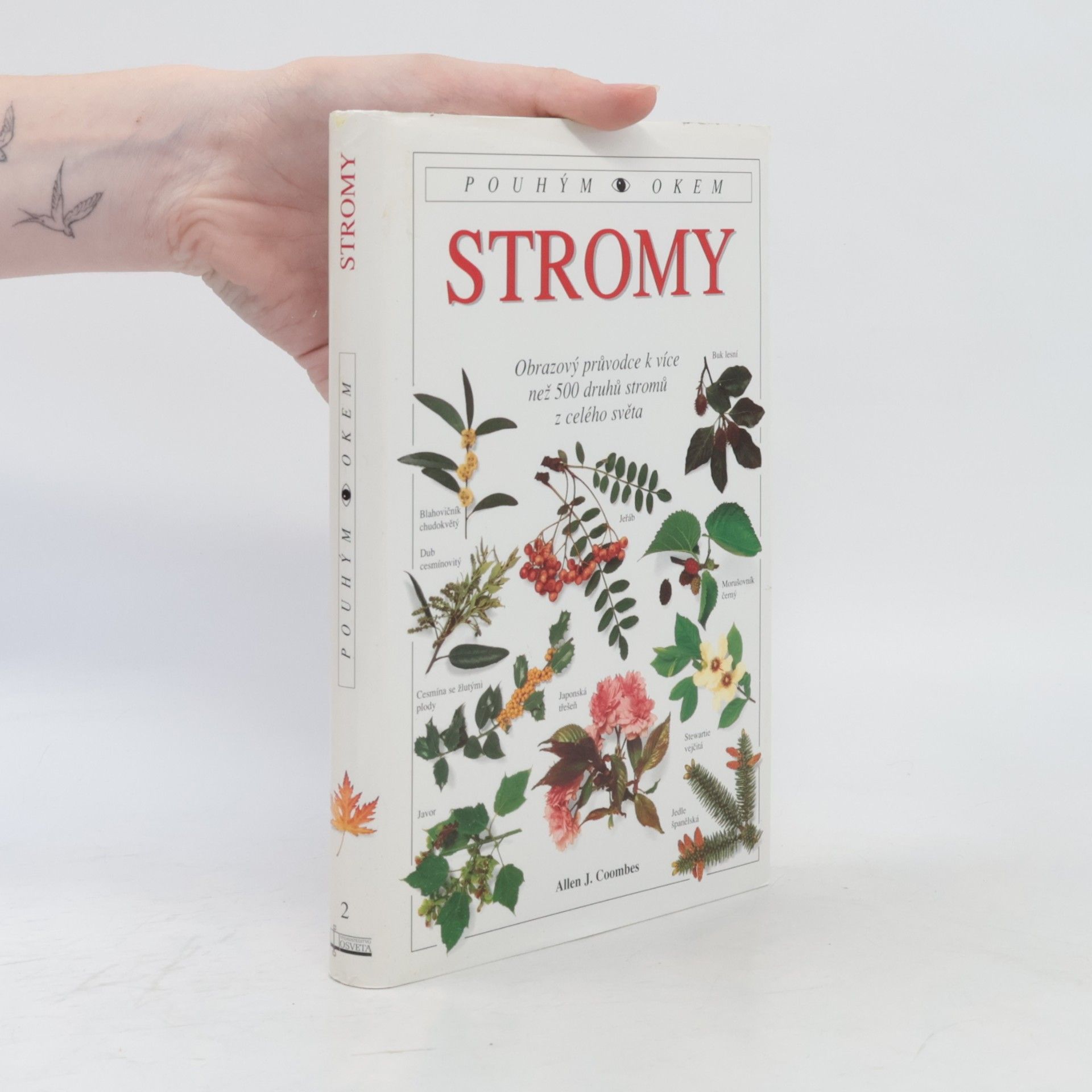 Stromy