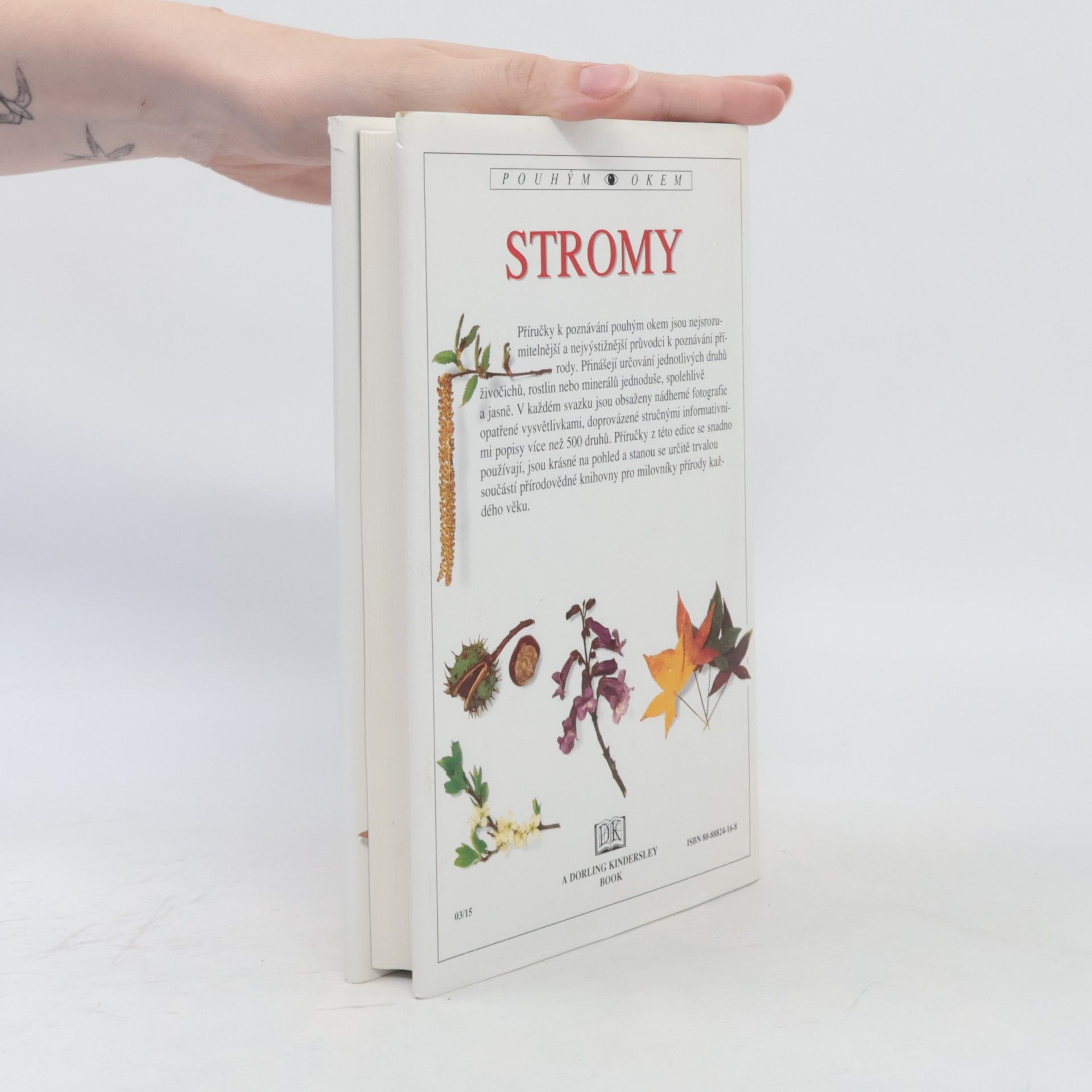 Allen J. Coombes Stromy