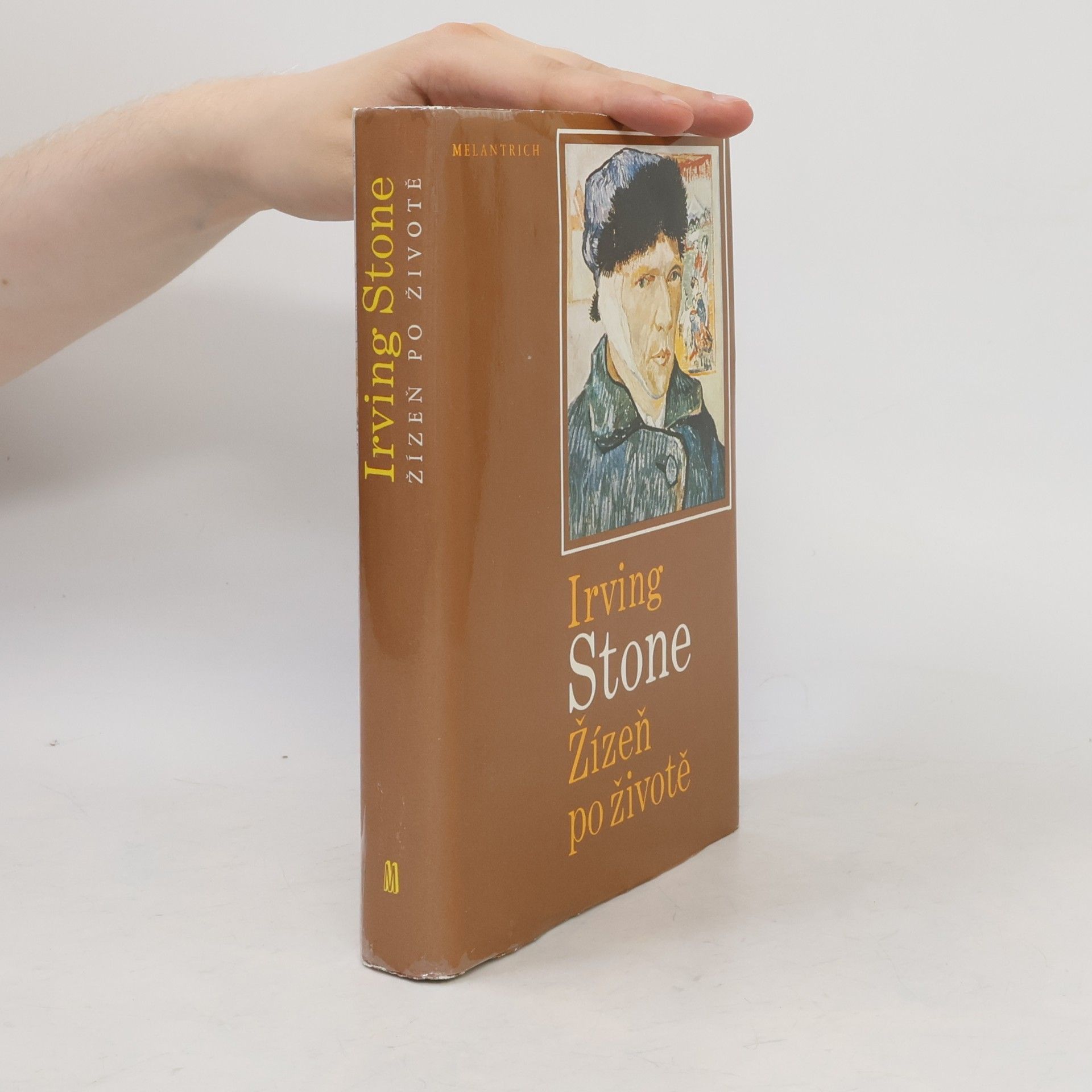 Irving Stone Žízeň po životě