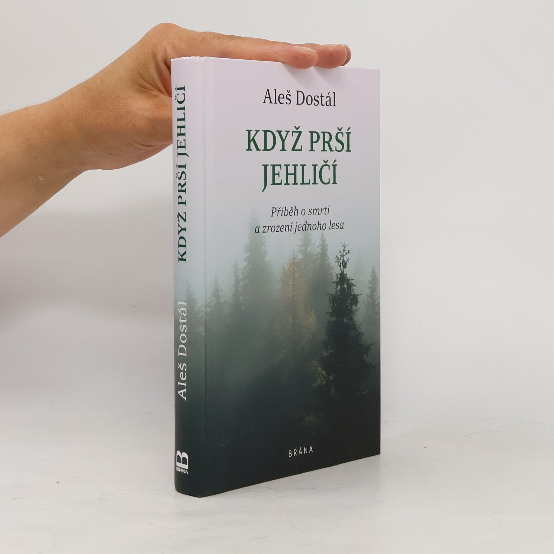 Aleš Dostál Když prší jehličí : příběh o smrti a zrození jednoho lesa