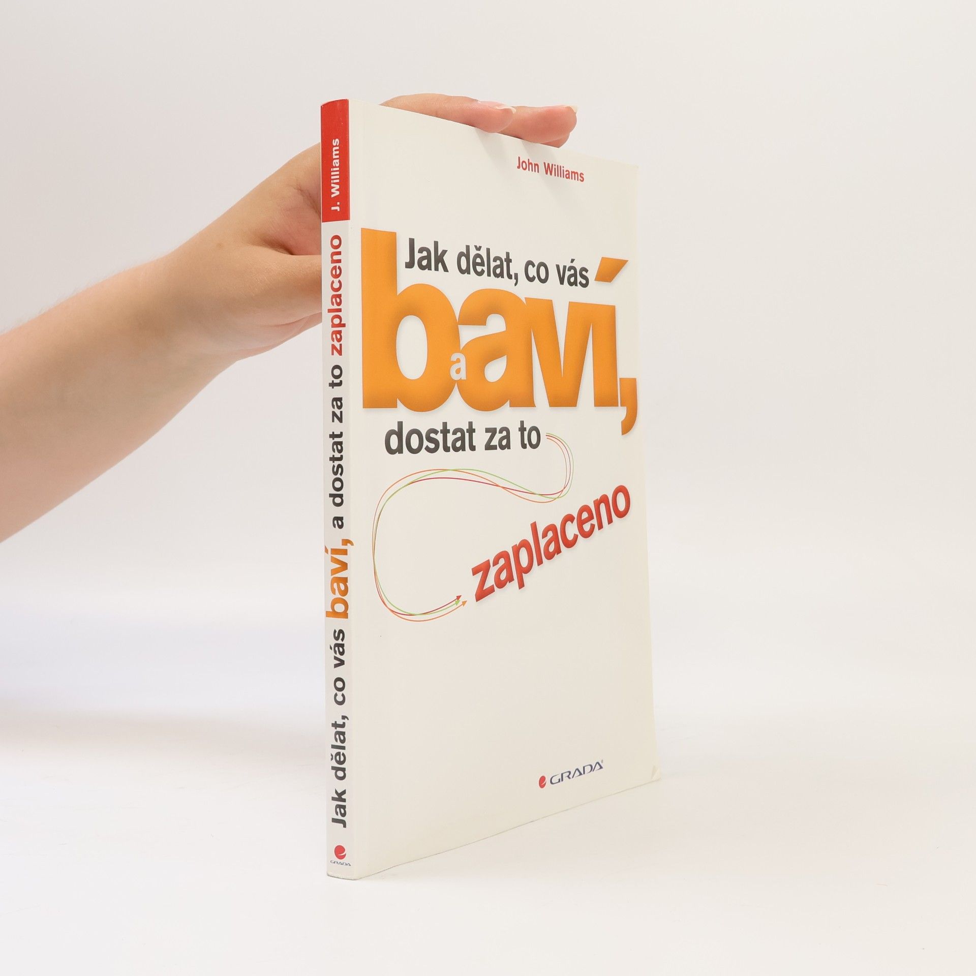 Jak dělat, co vás baví, a dostat za to zaplaceno