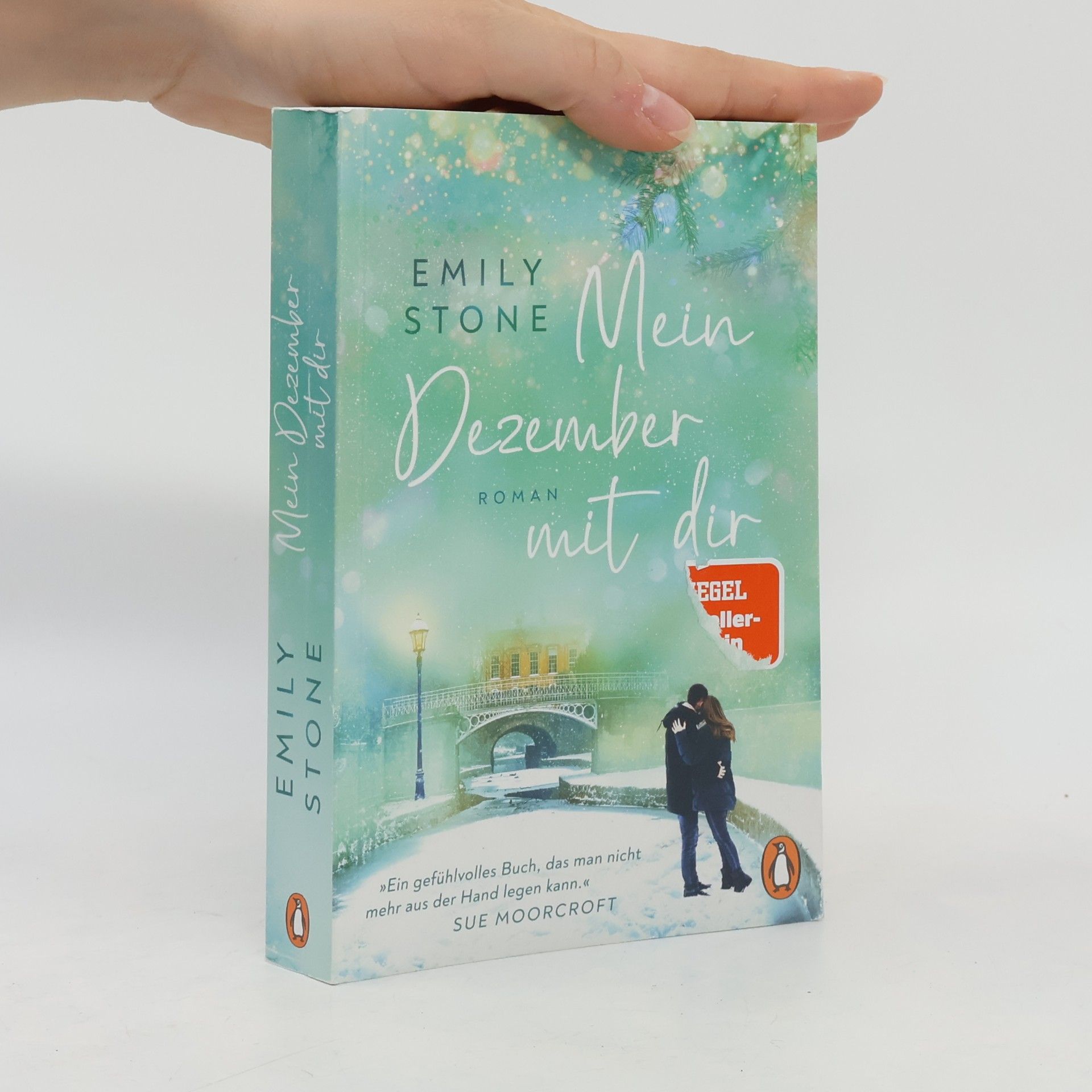 Stone Emily Mein Dezember mit dir