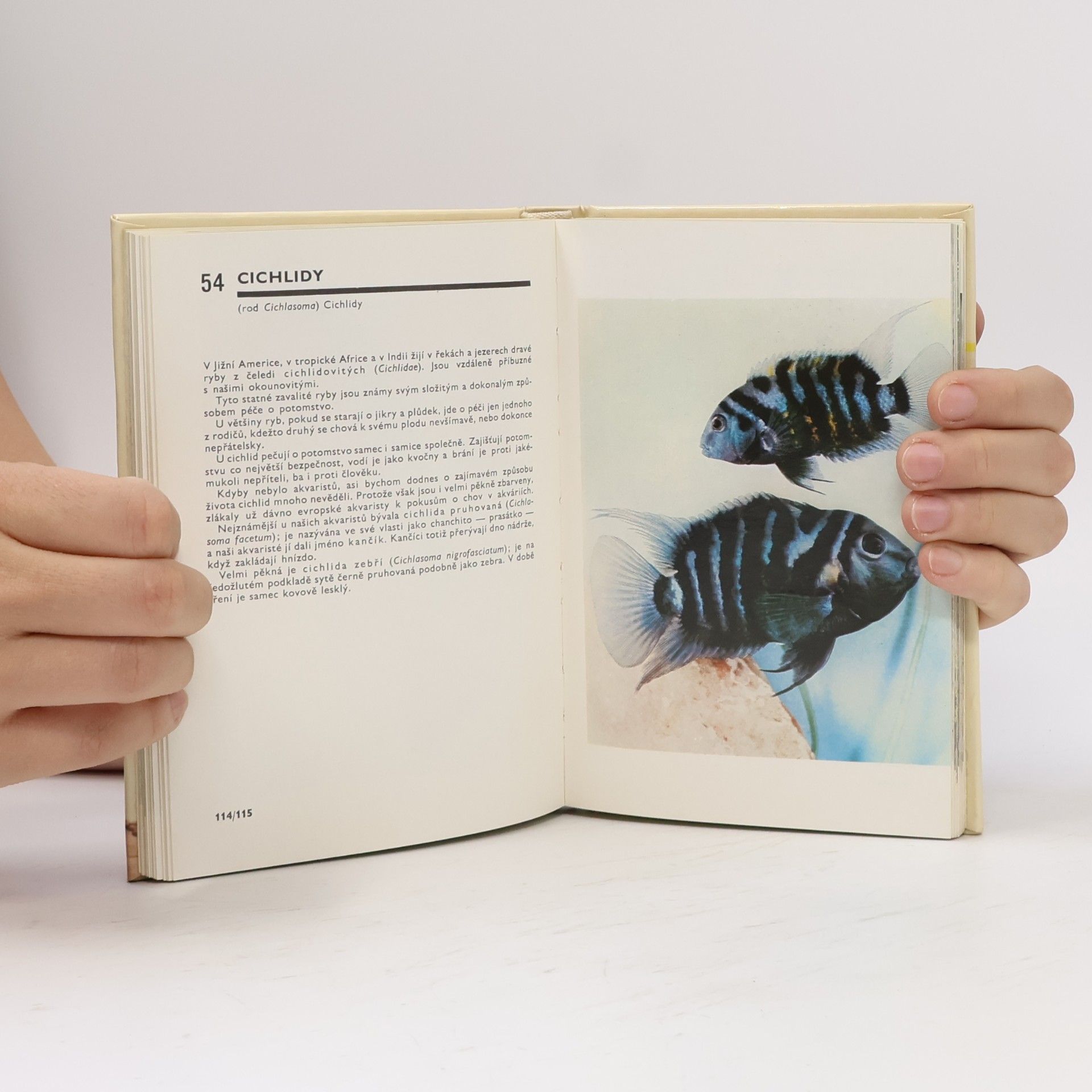 Otakar Štěpánek Kapesní atlas ryb, obojživelníků a plazů