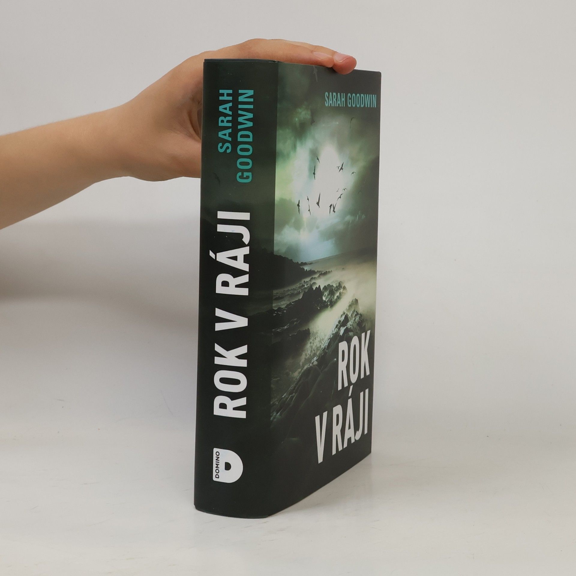 Sarah Goodwin Rok v ráji