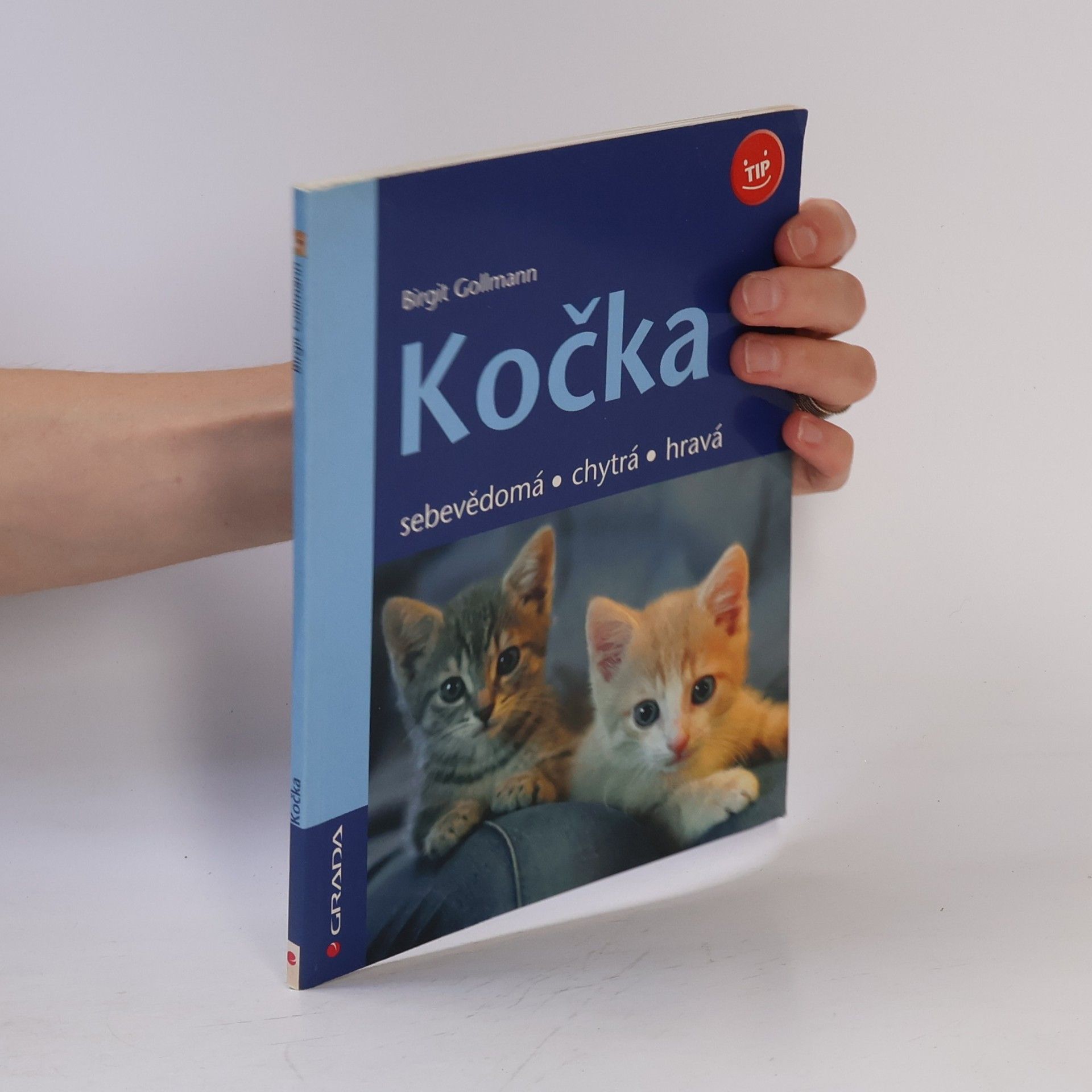 Birgit Gollmann Kočka - sebevědomá, chytrá, hravá