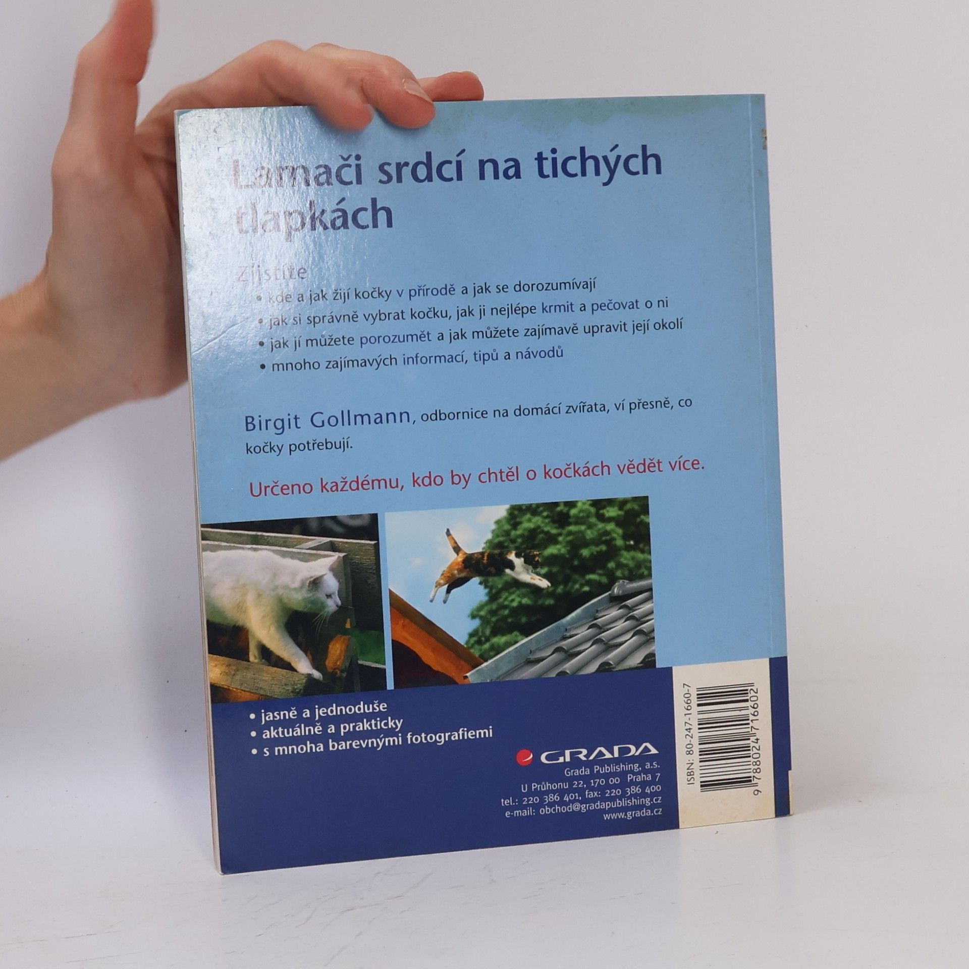 Birgit Gollmann Kočka - sebevědomá, chytrá, hravá
