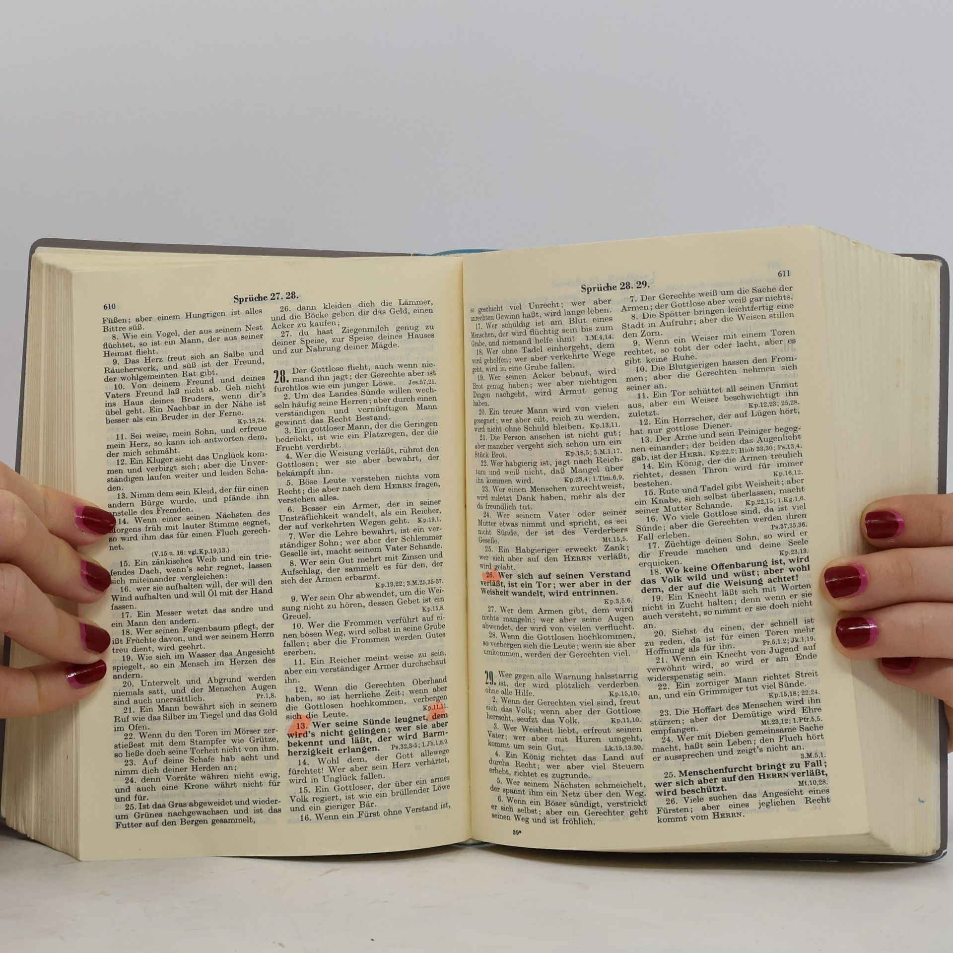 Martin Luther Die Bibel