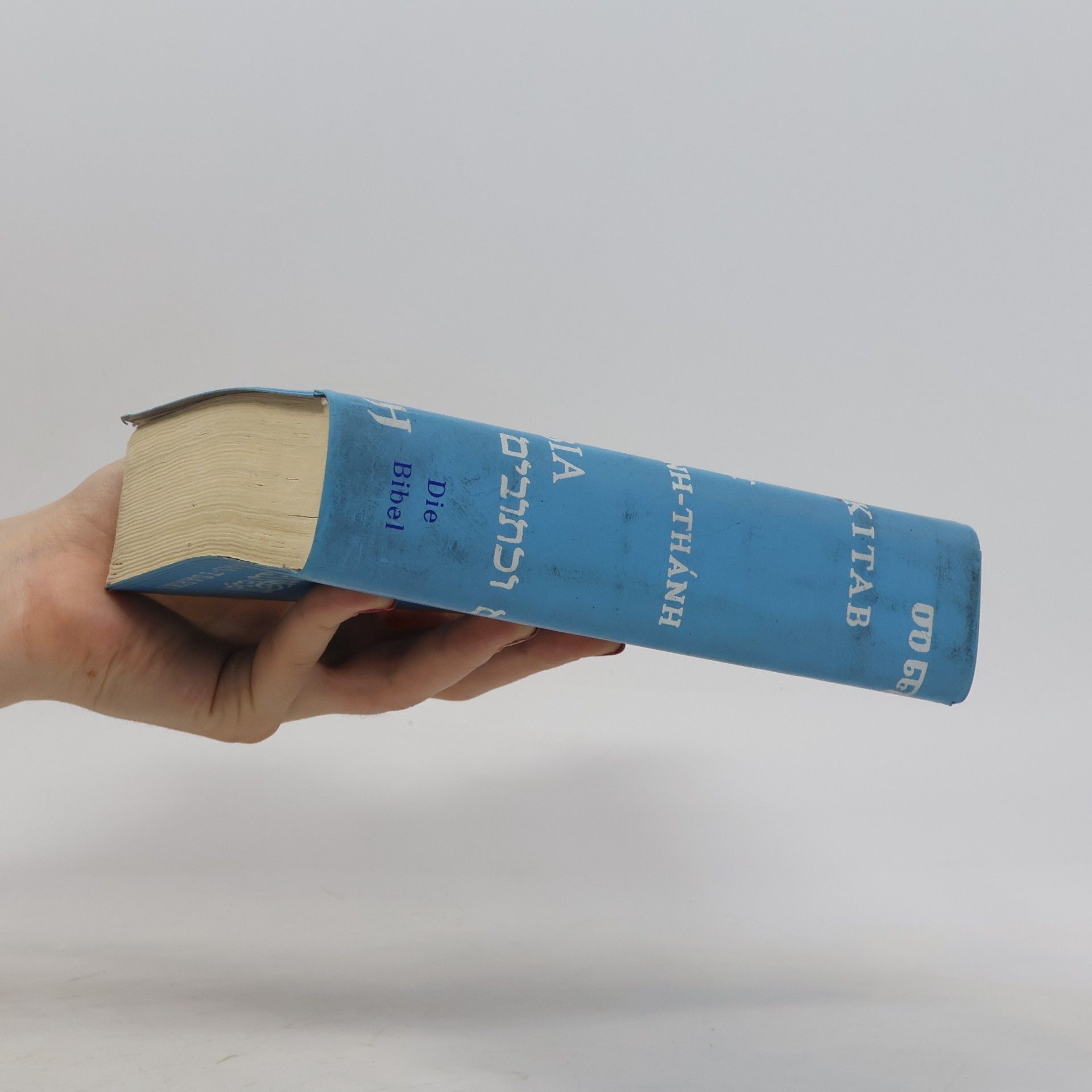 Martin Luther Die Bibel