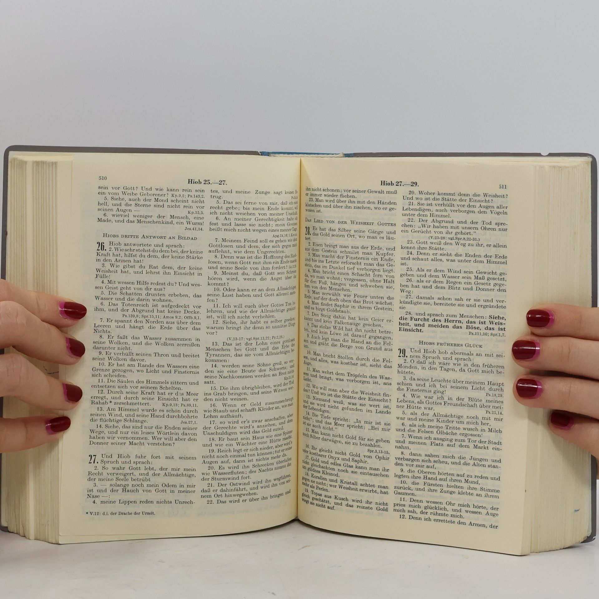 Martin Luther Die Bibel