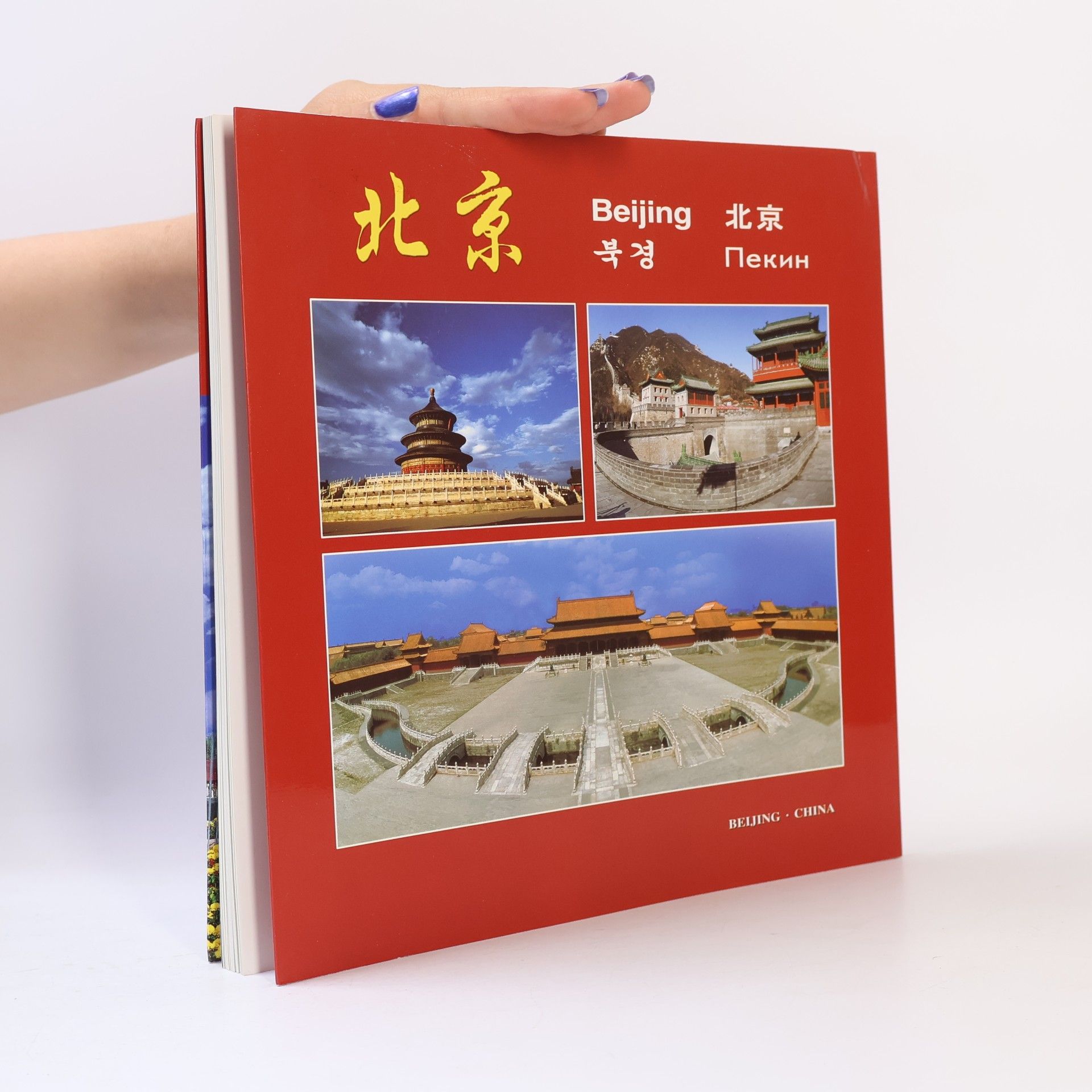 Autorenkollektiv Beijing