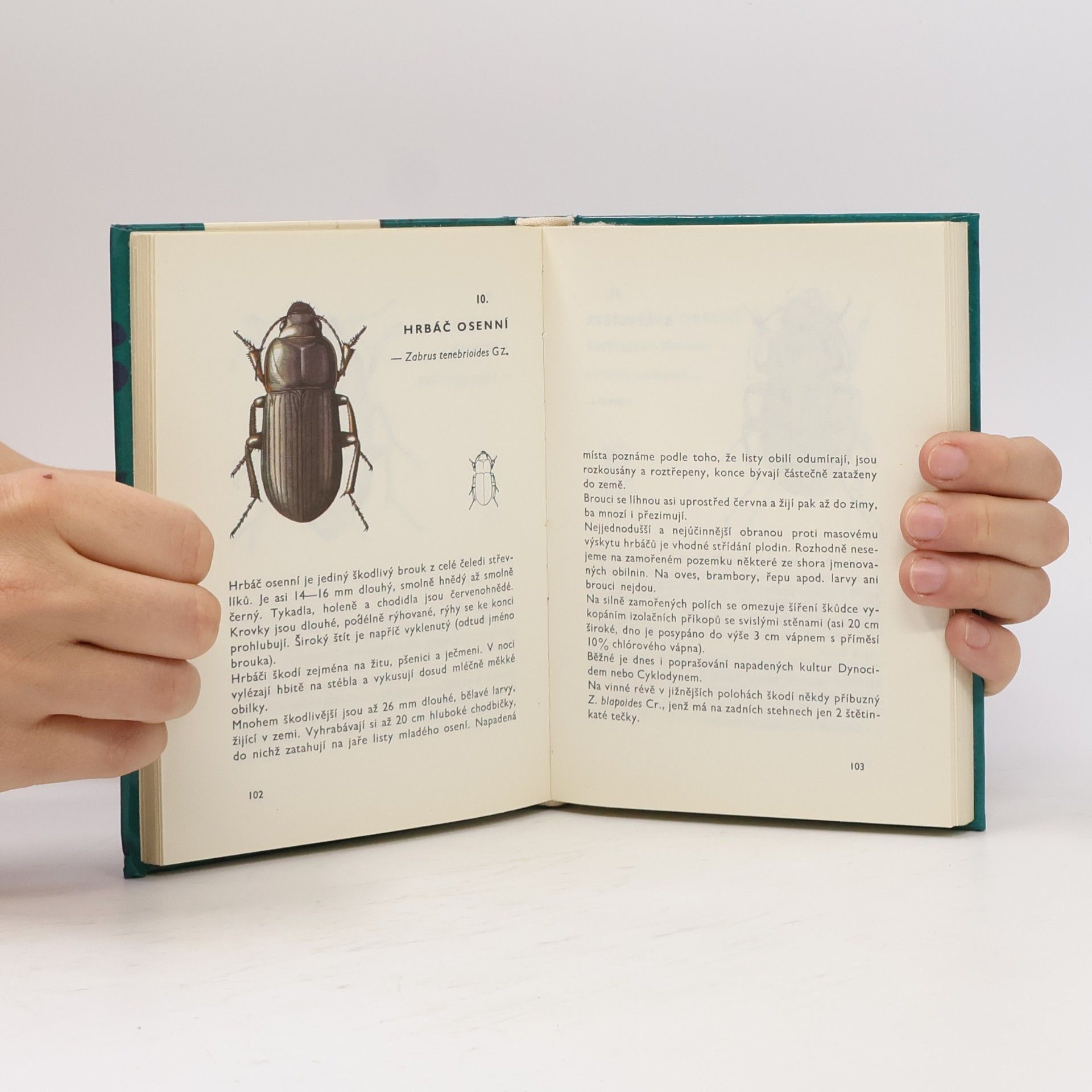 Vladimír Javorek Kapesní atlas brouků