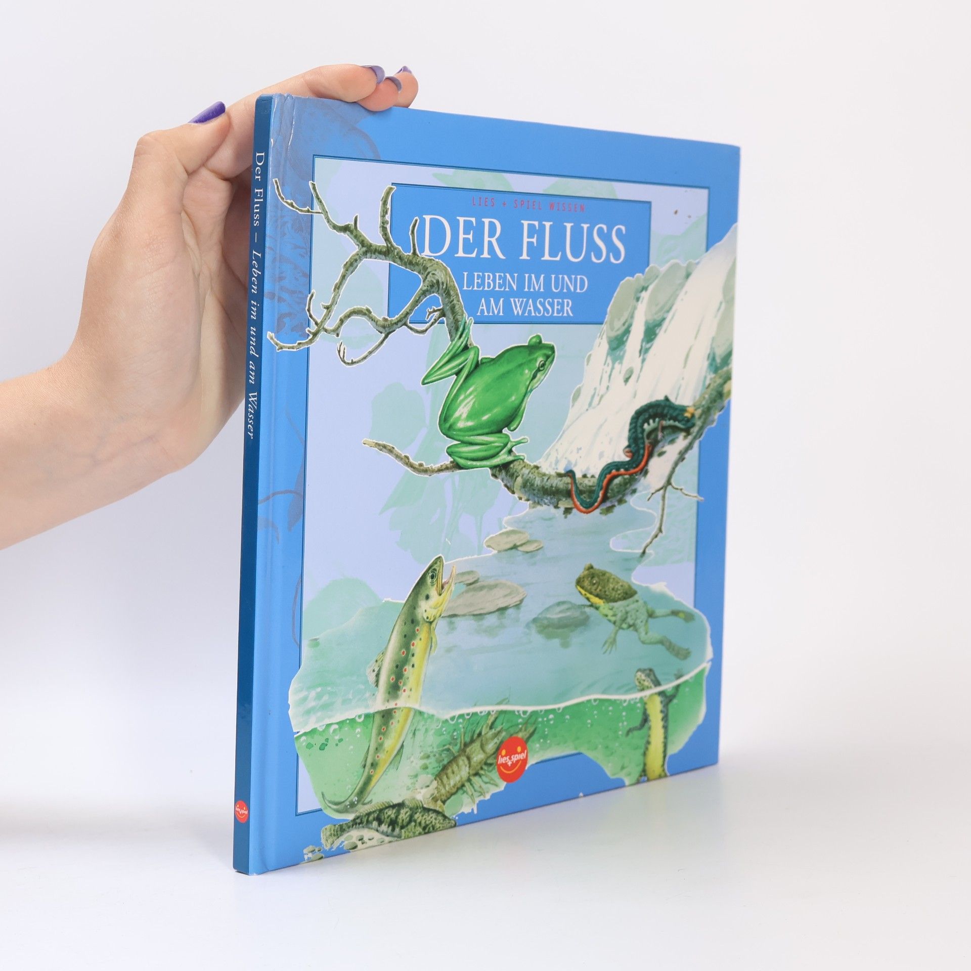 Autorenkollektiv Lies + Spiel Wissen: Der Fluss