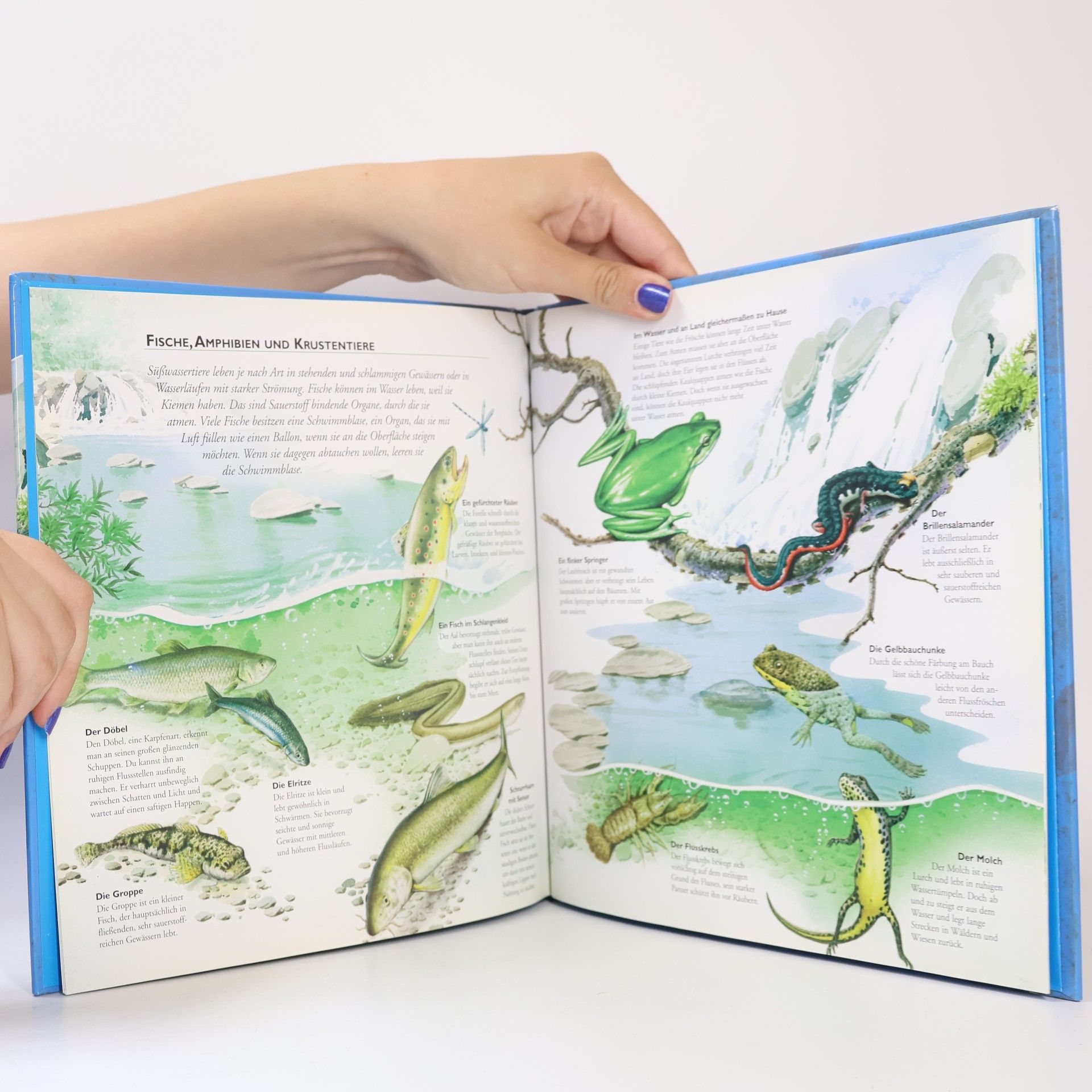 Lies + Spiel Wissen: Der Fluss