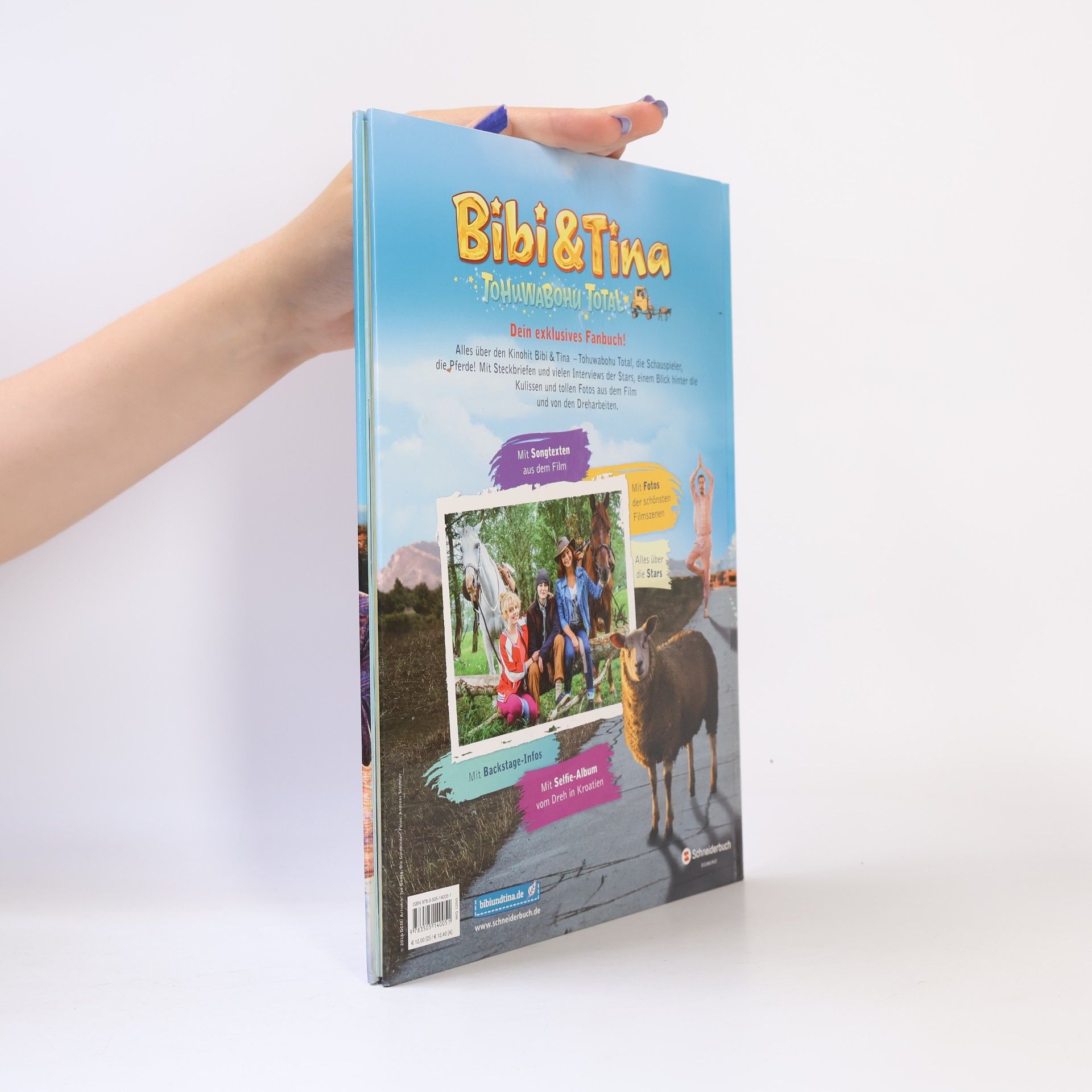 Bettina Börgerding Bibi & Tina - Tohuwabohu total: das große Fanbuch