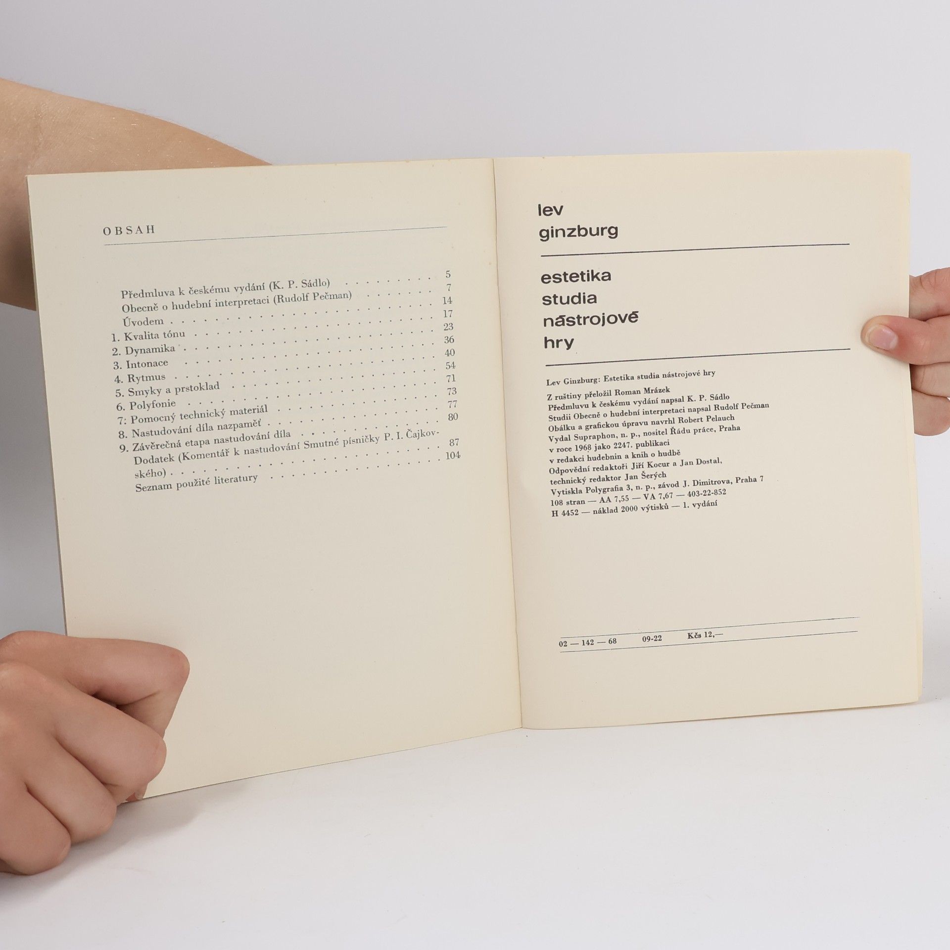 Ginzburg Lev Estetika studia nástrojové hry