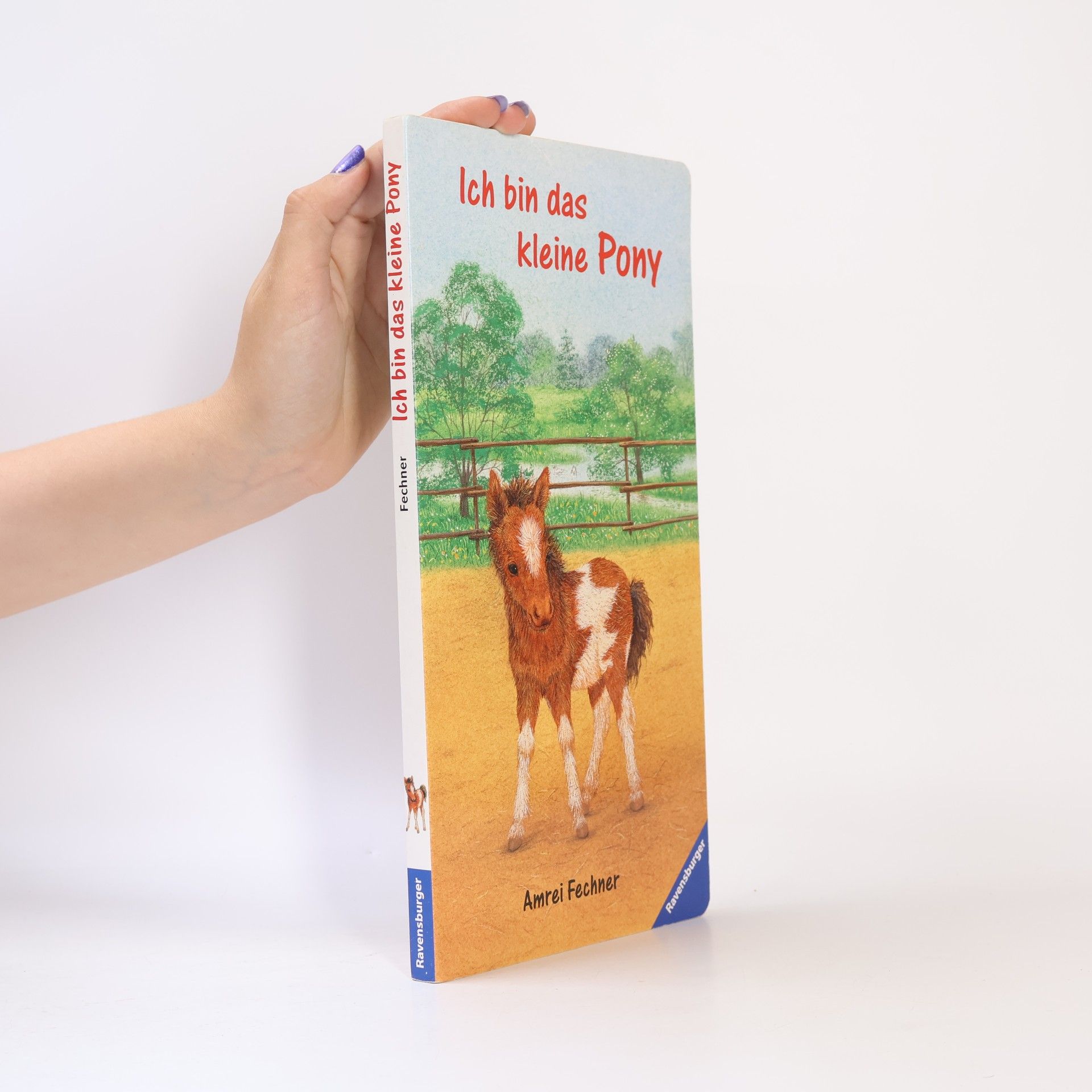 Amrei Fechner Ich bin das kleine Pony