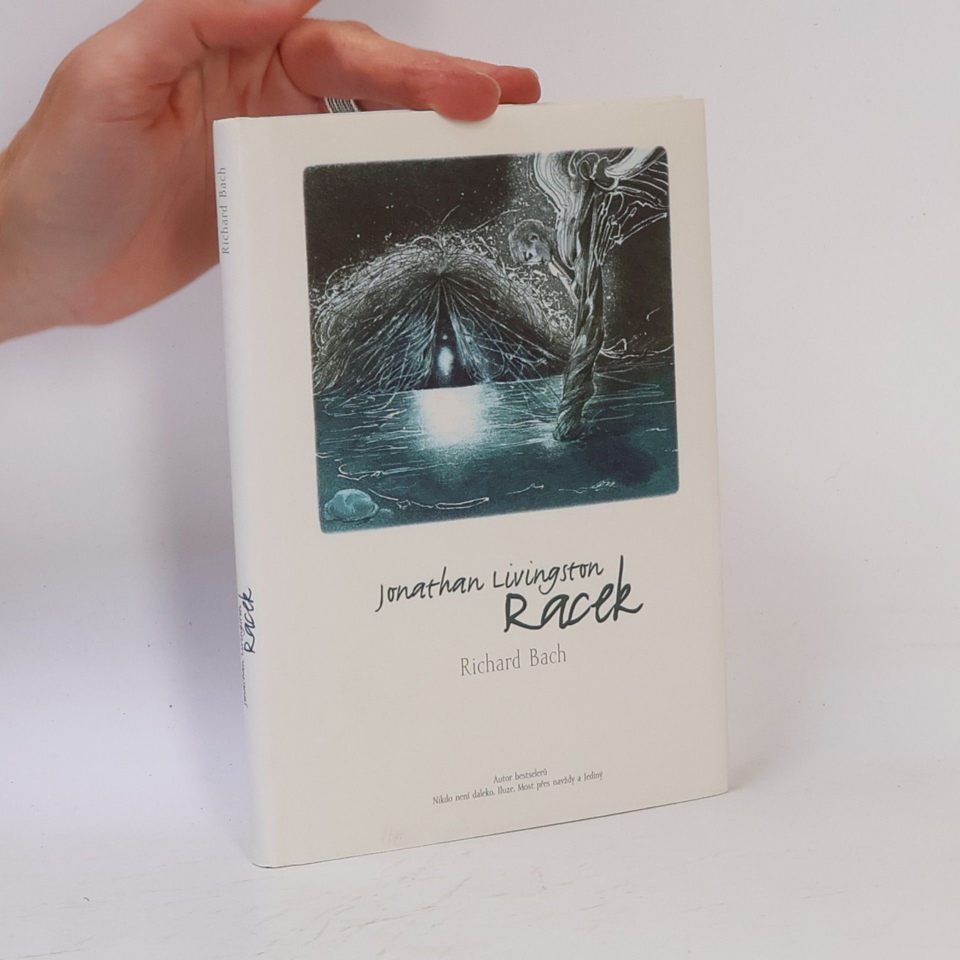 Richard Bach Jonathan Livingston Racek