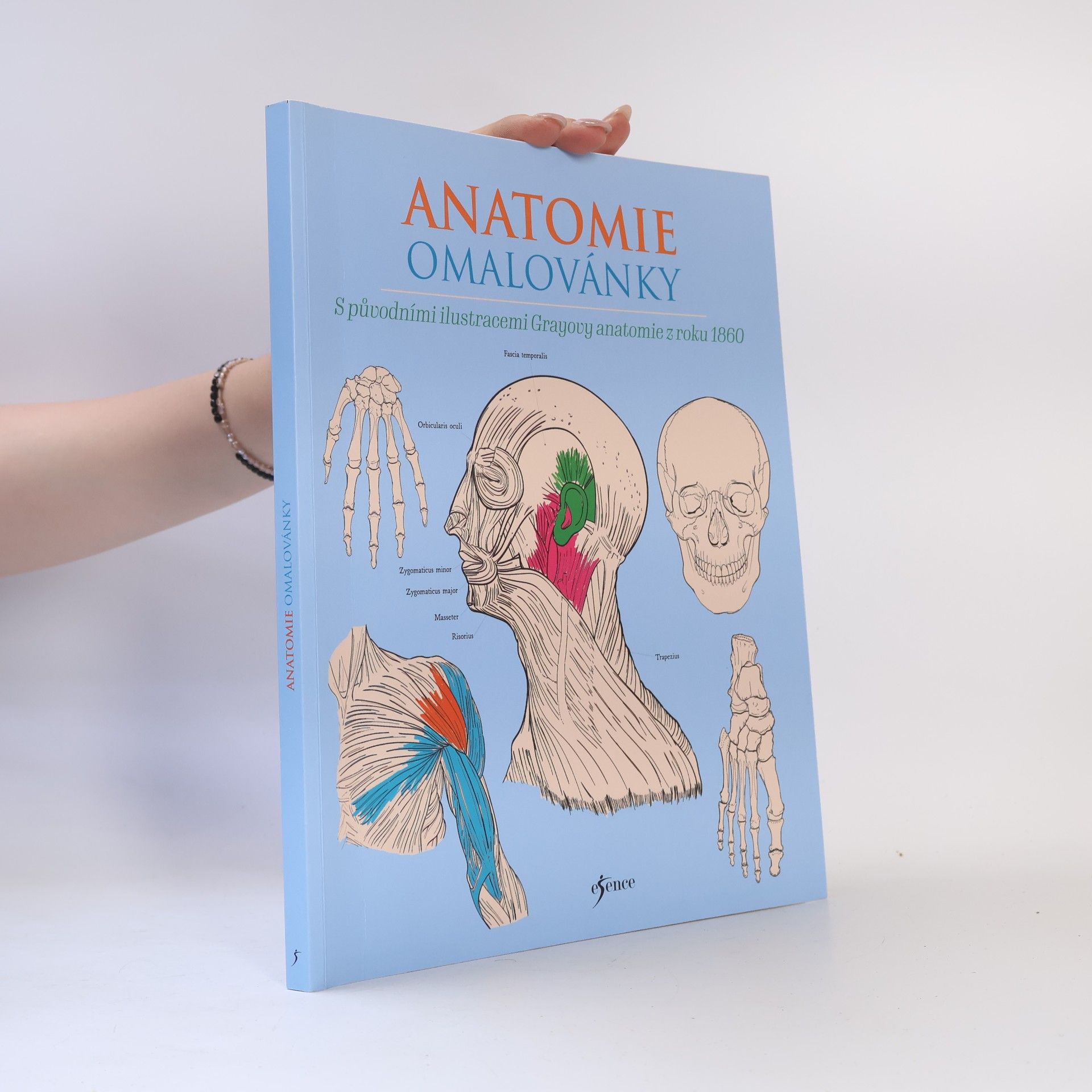 Henry Carter Anatomie omalovánky
