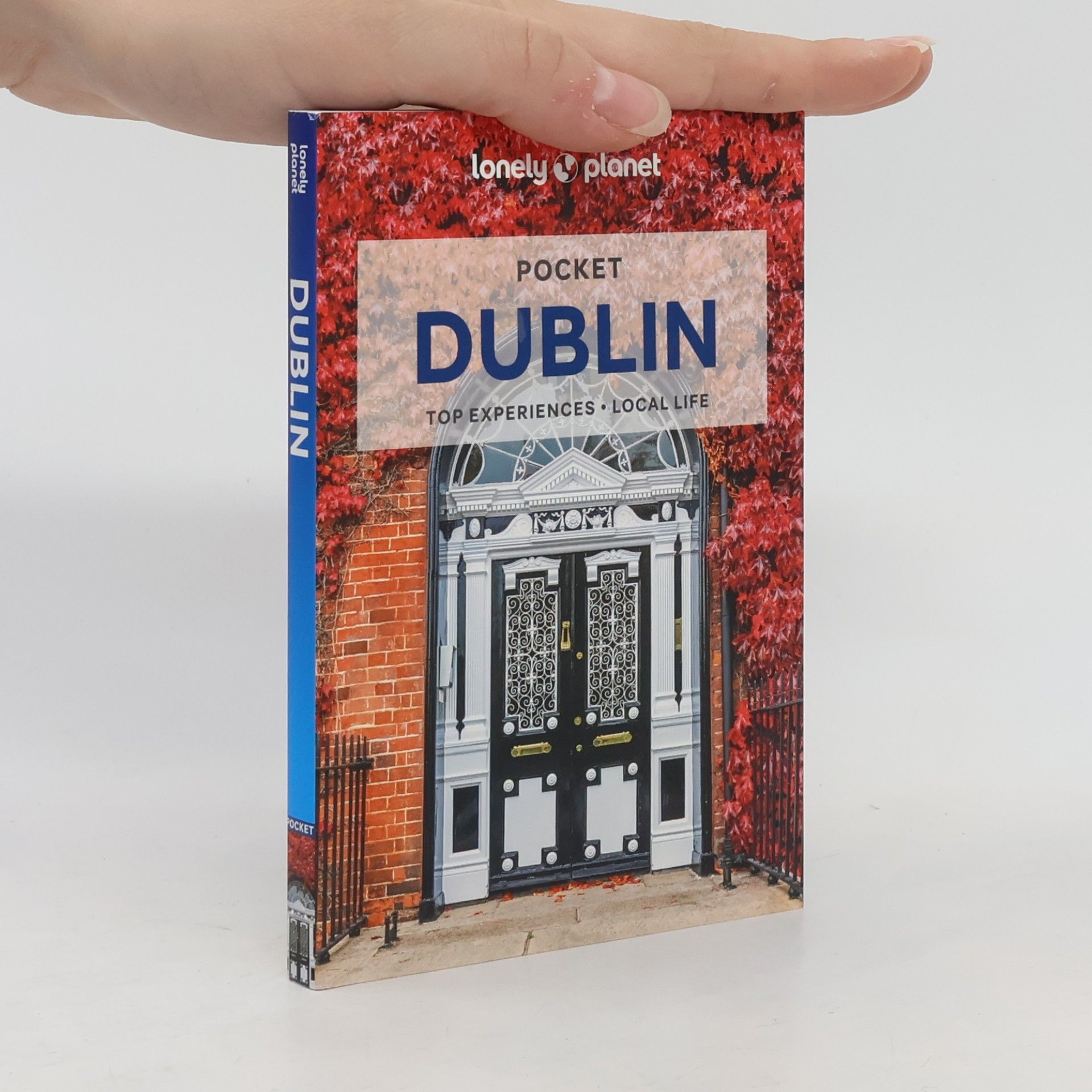 Neil Wilson Pocket Dublin