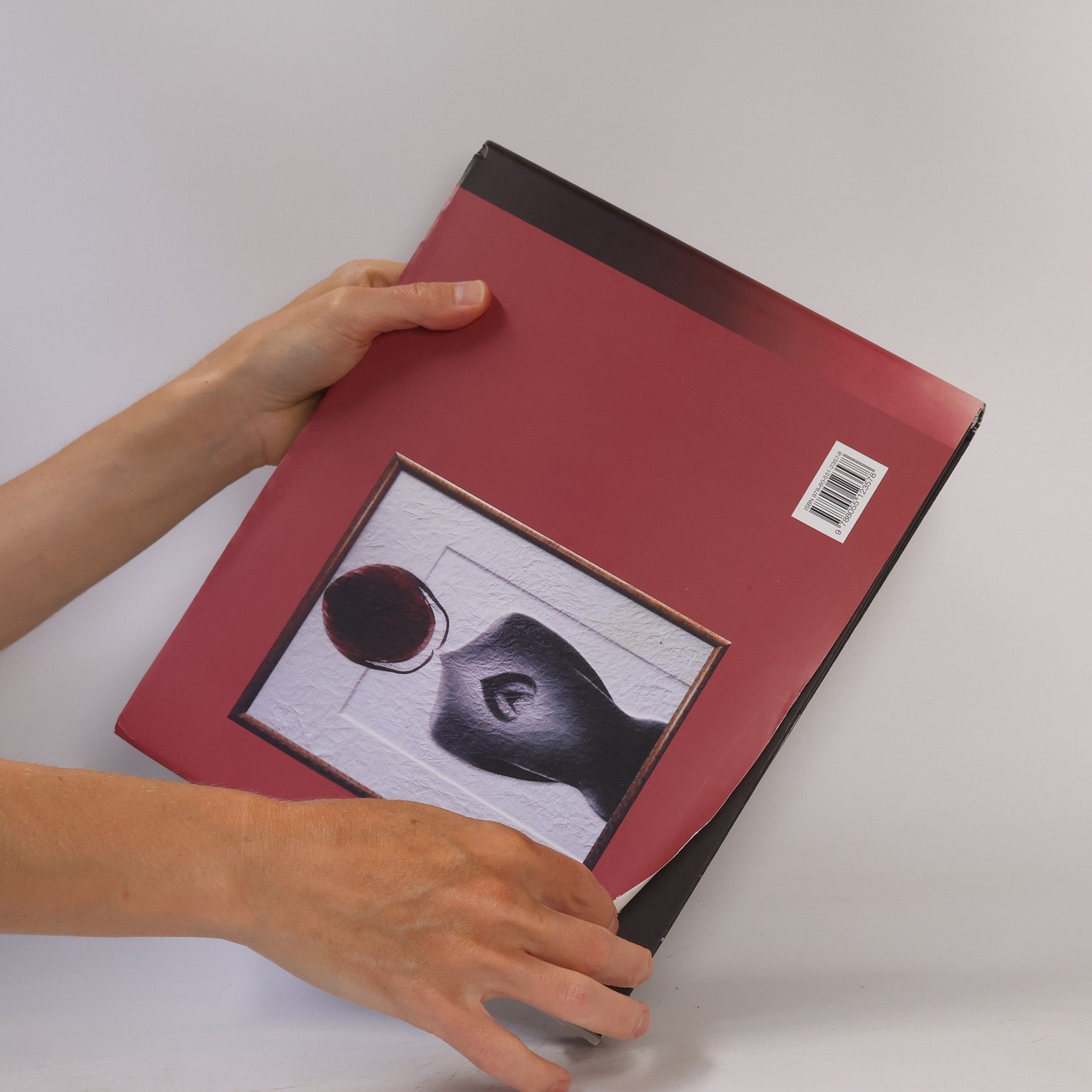 Oľga Bleyová Môj životný dialóg s fotografiou