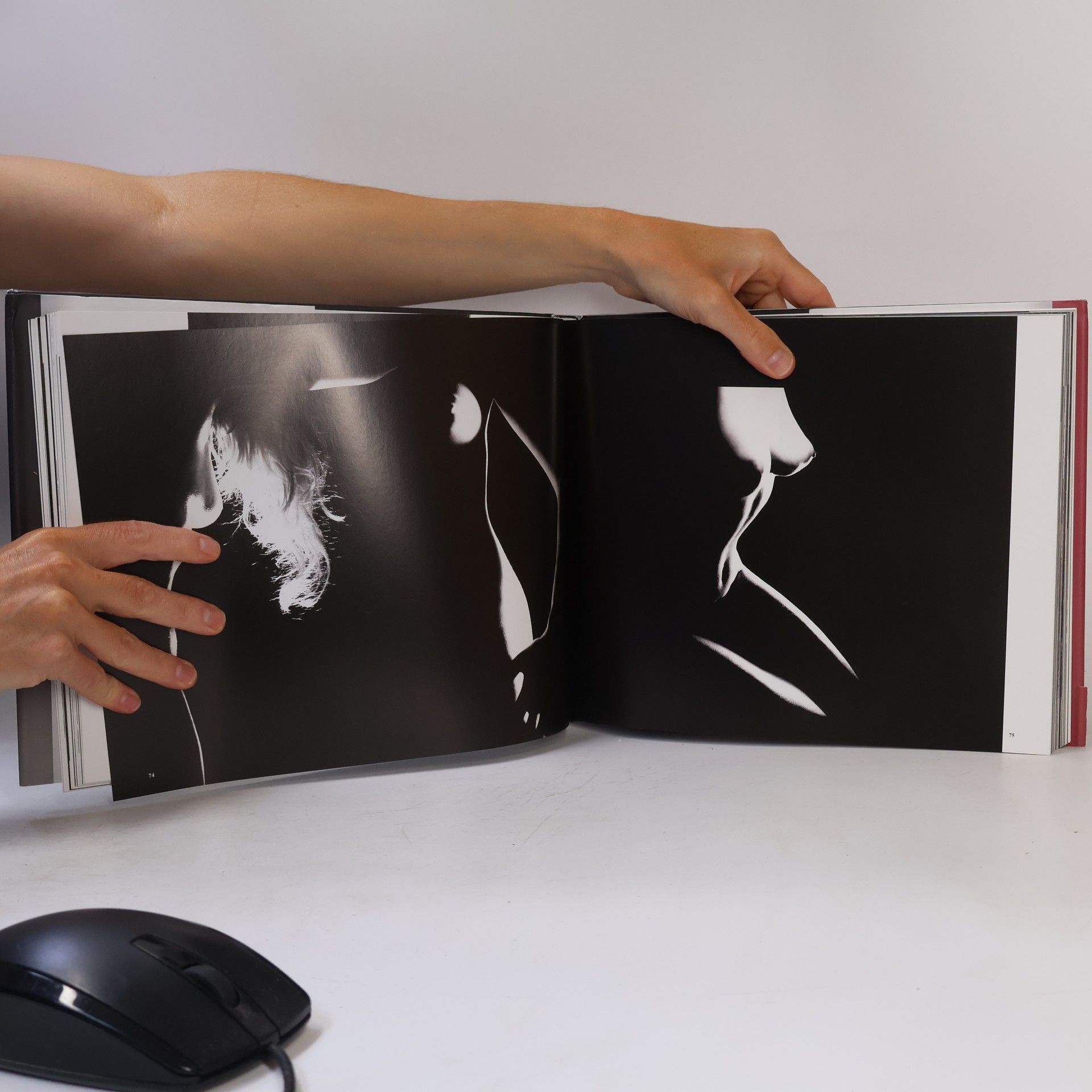 Oľga Bleyová Môj životný dialóg s fotografiou