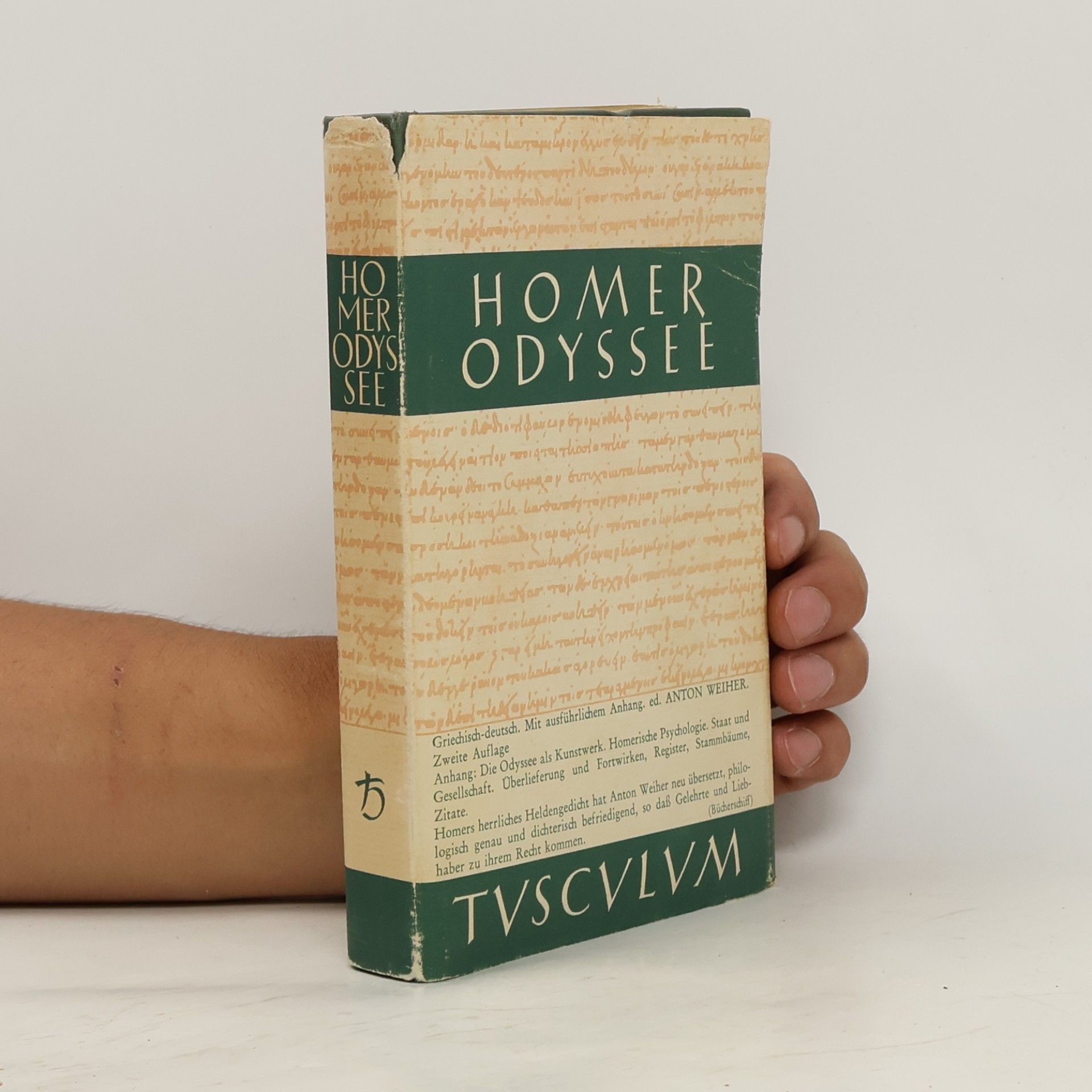 Homér Odyssee