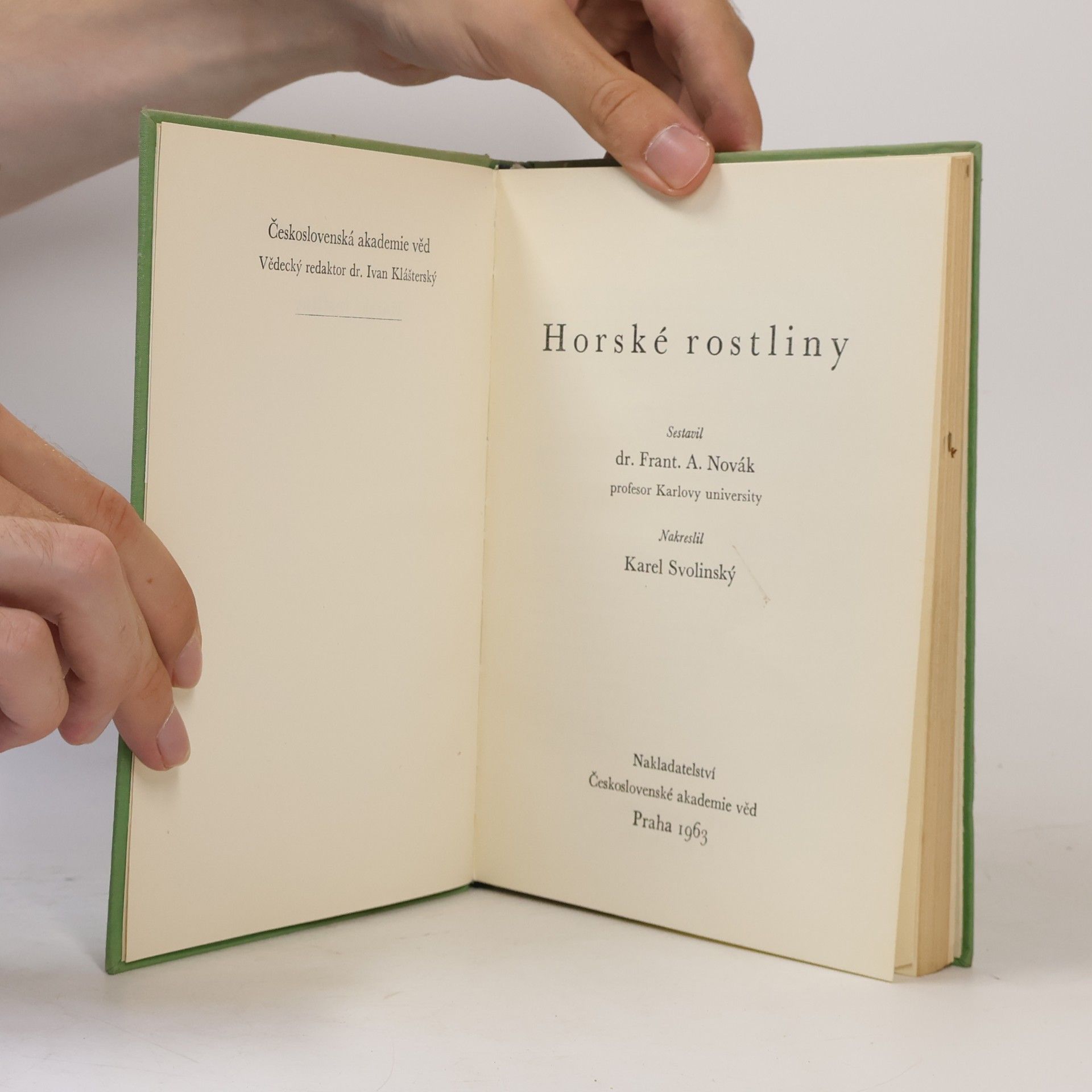 Autorenkollektiv Horské rostliny