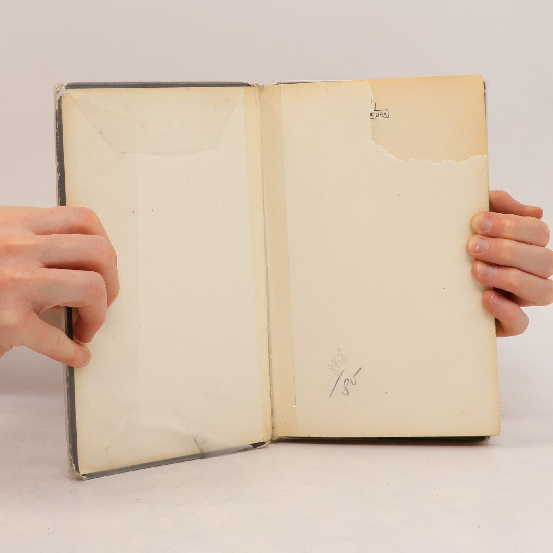 Erich Maria Remarque Na západní frontě klid