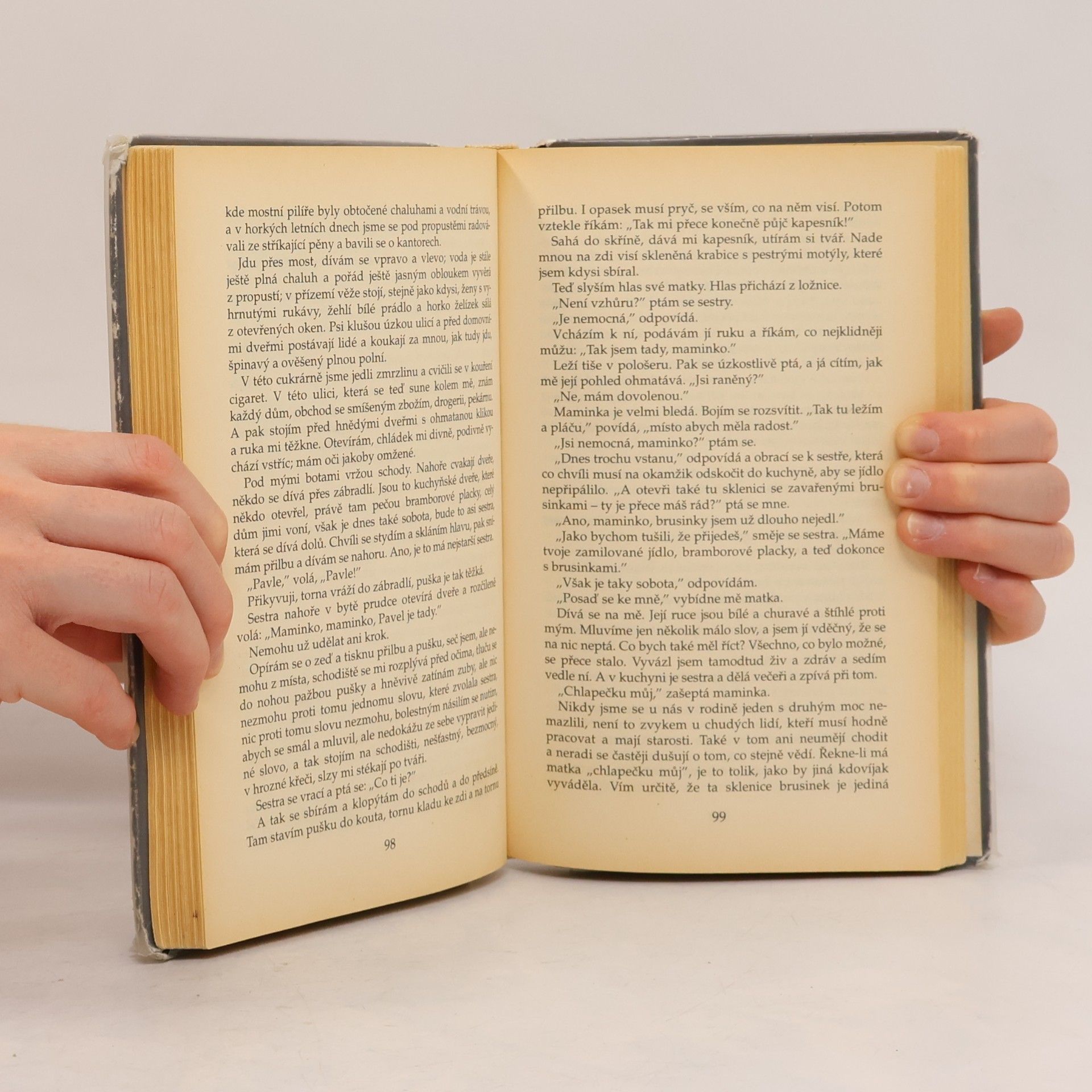 Erich Maria Remarque Na západní frontě klid