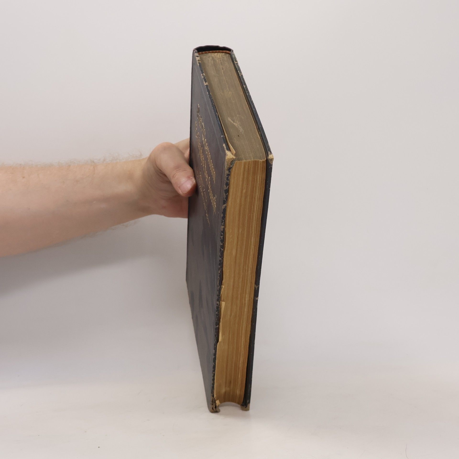 Karl Woermann Geschichte der Kunst 2